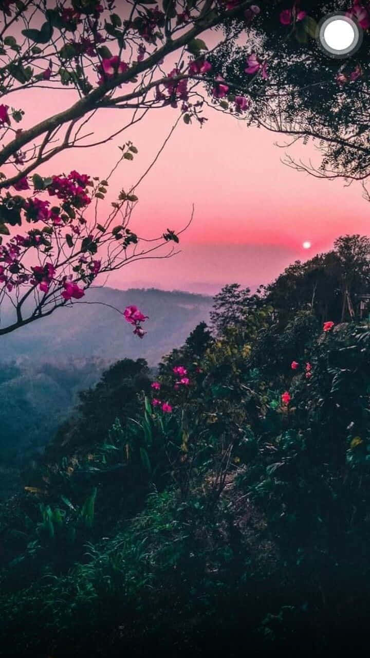 Kagubatan sa Bundok na May Rosas na Bulaklak Nature Aesthetic Phone Wallpaper