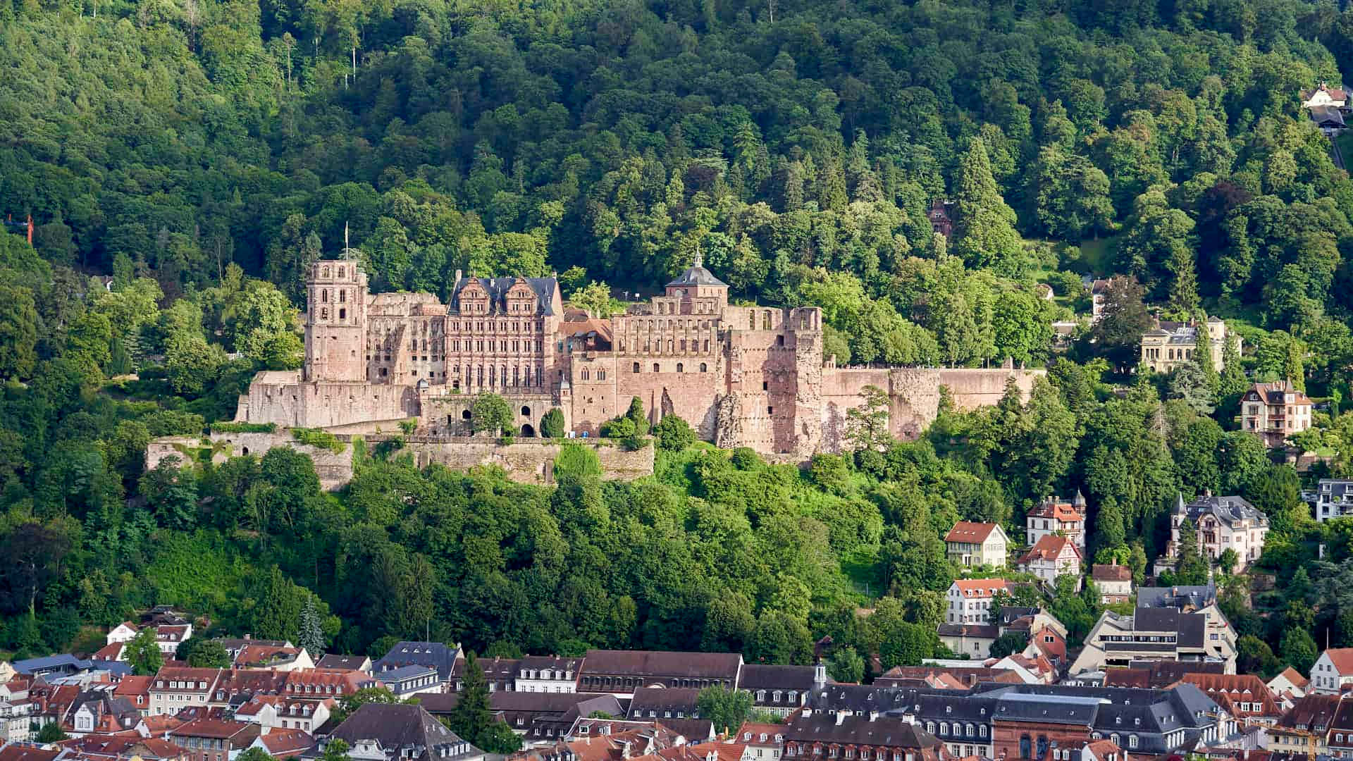 Kagubatan sa Paligid ng Heidelberg Castle Wallpaper