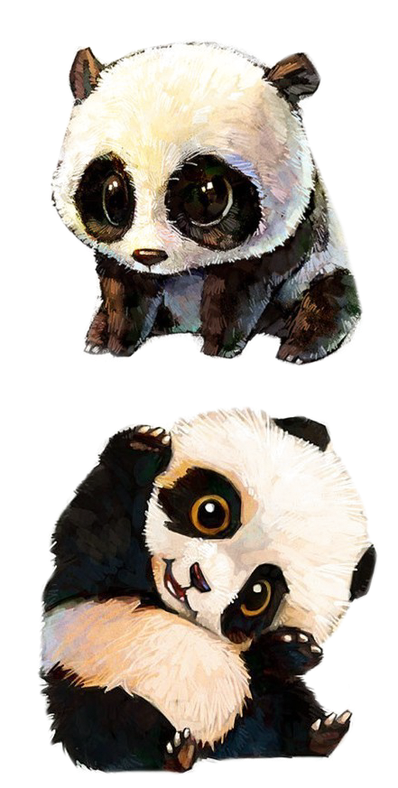 Kaibig-ibig na Animated na Pares ng Panda Wallpaper