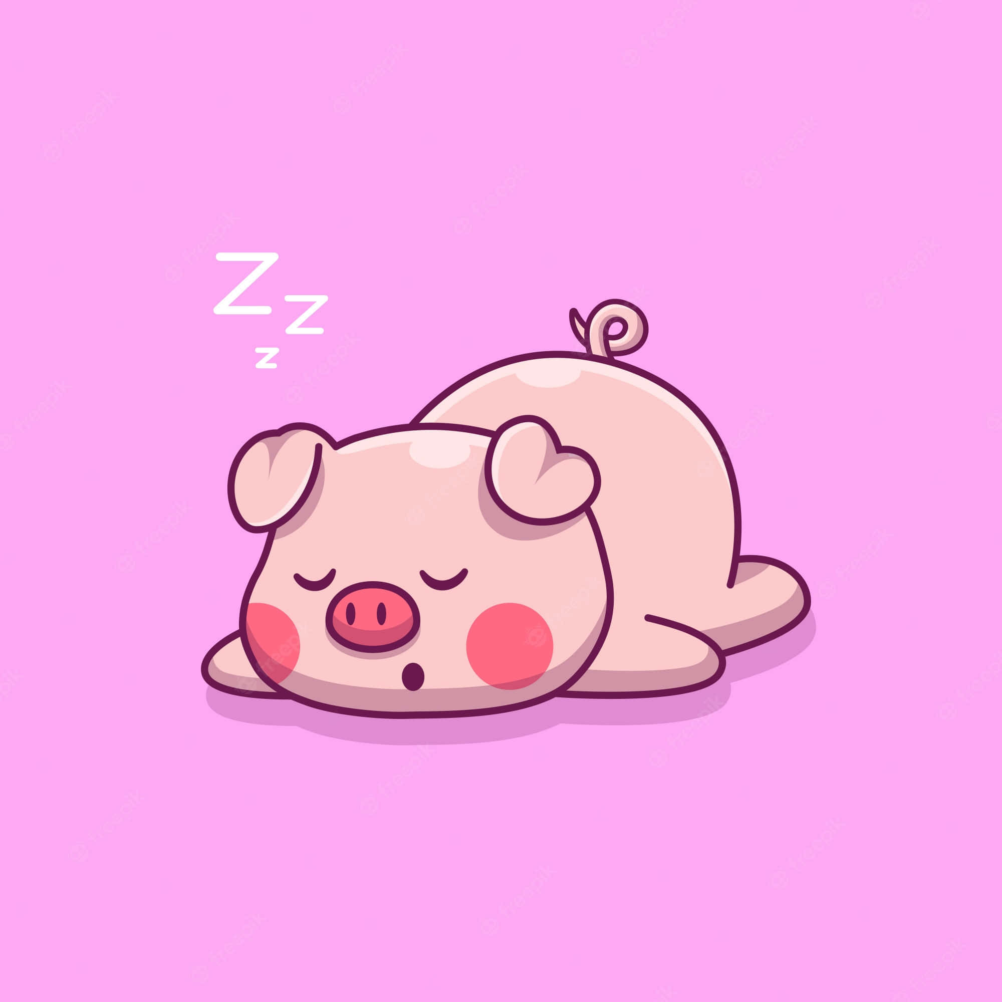 Kaibig-ibig na maliit na baboy na nag-eenjoy sa araw Wallpaper