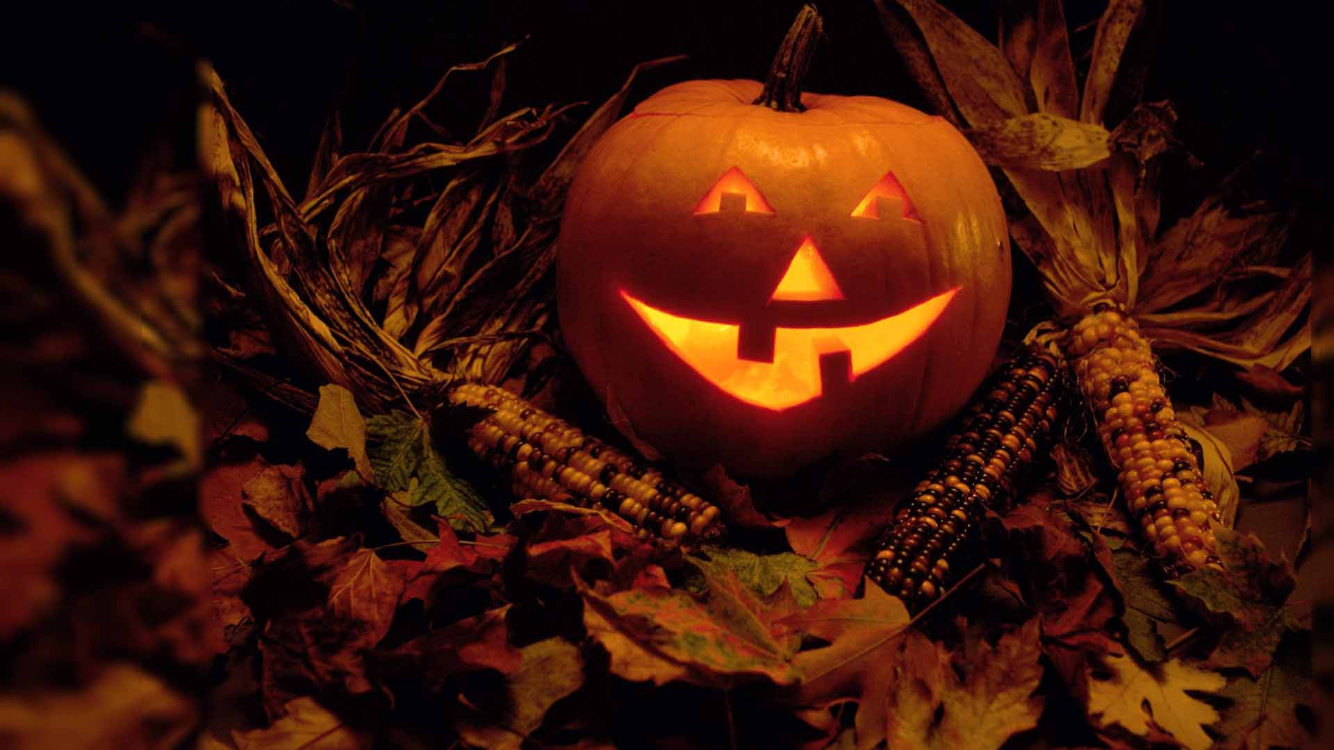 Kalabasa ng Vintage Halloween sa Patlang ng Mais Wallpaper