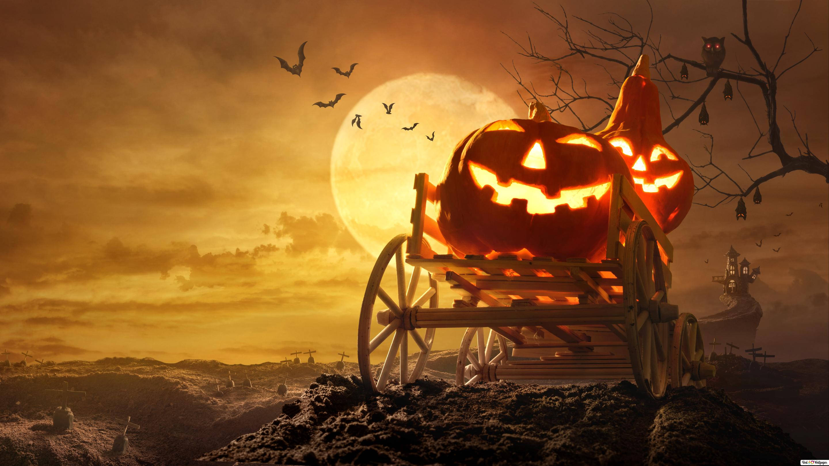 Kalabasa sa Kabilugan ng Buwan para sa Halloween iPhone Wallpaper