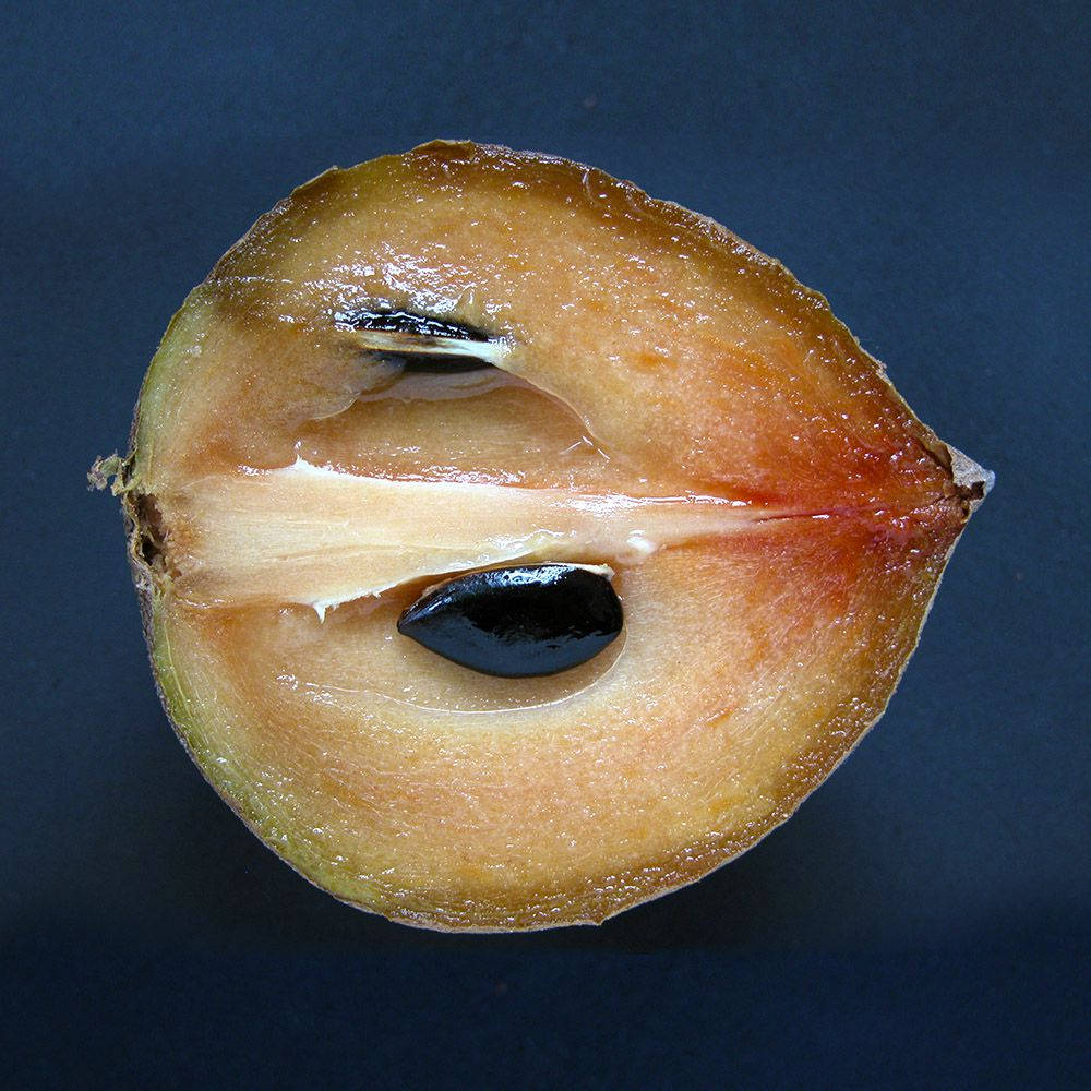 Kalahating Sapodilla na Prutas Wallpaper