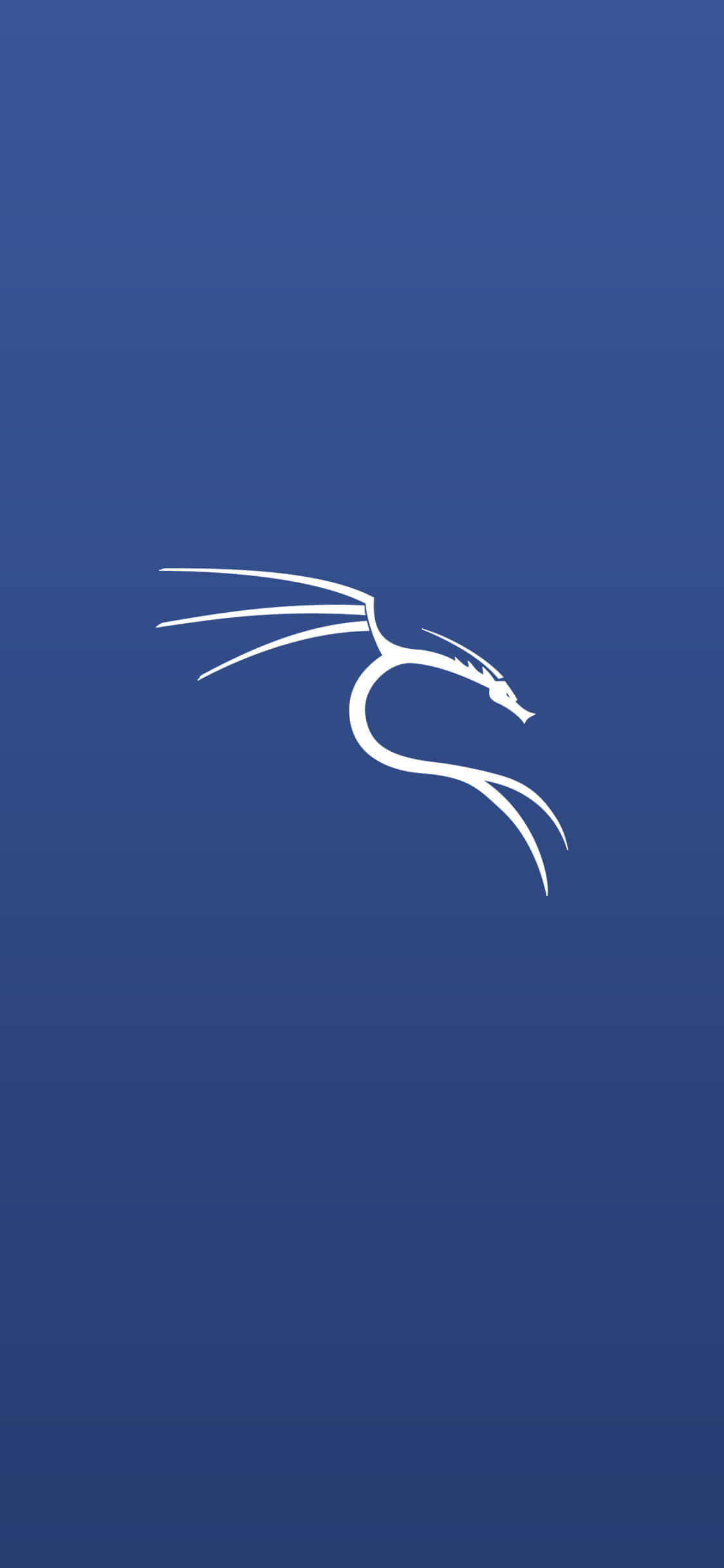 Kali Linux Matrix Environment Wallpaper