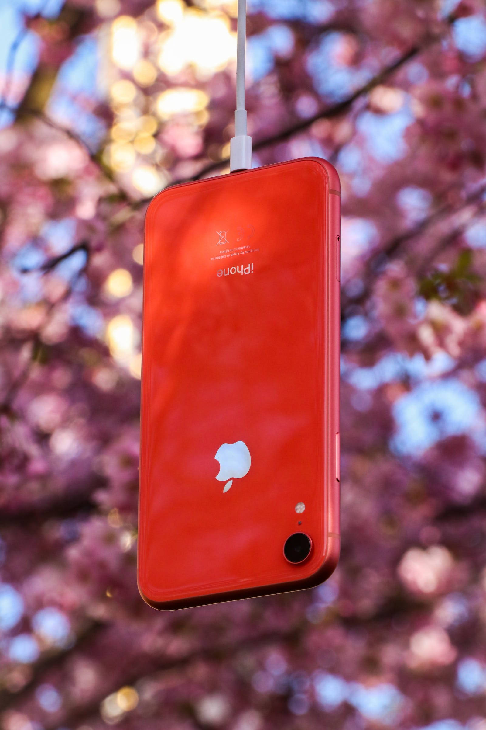 Kalikasan iPhone Red Wallpaper