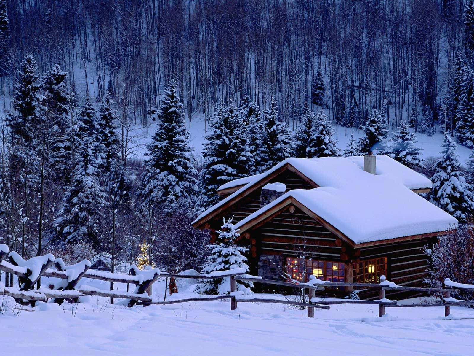 Kamangha-manghang Winter Wonderland Wallpaper