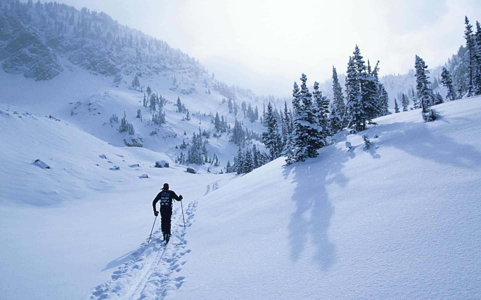 Kapana-panang Winter Sports Adventure Wallpaper