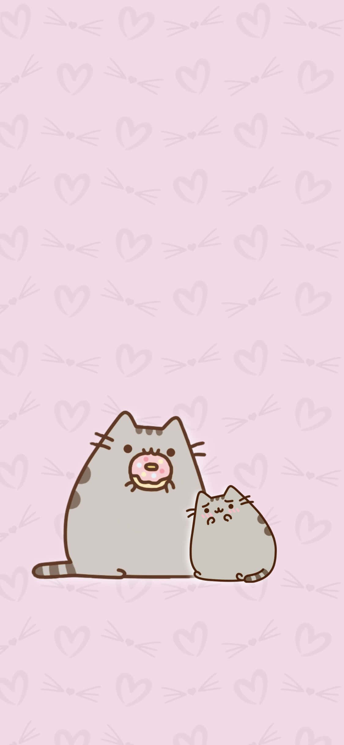 Kawaii Cute Cat Eating Donut Picture Wallpaper