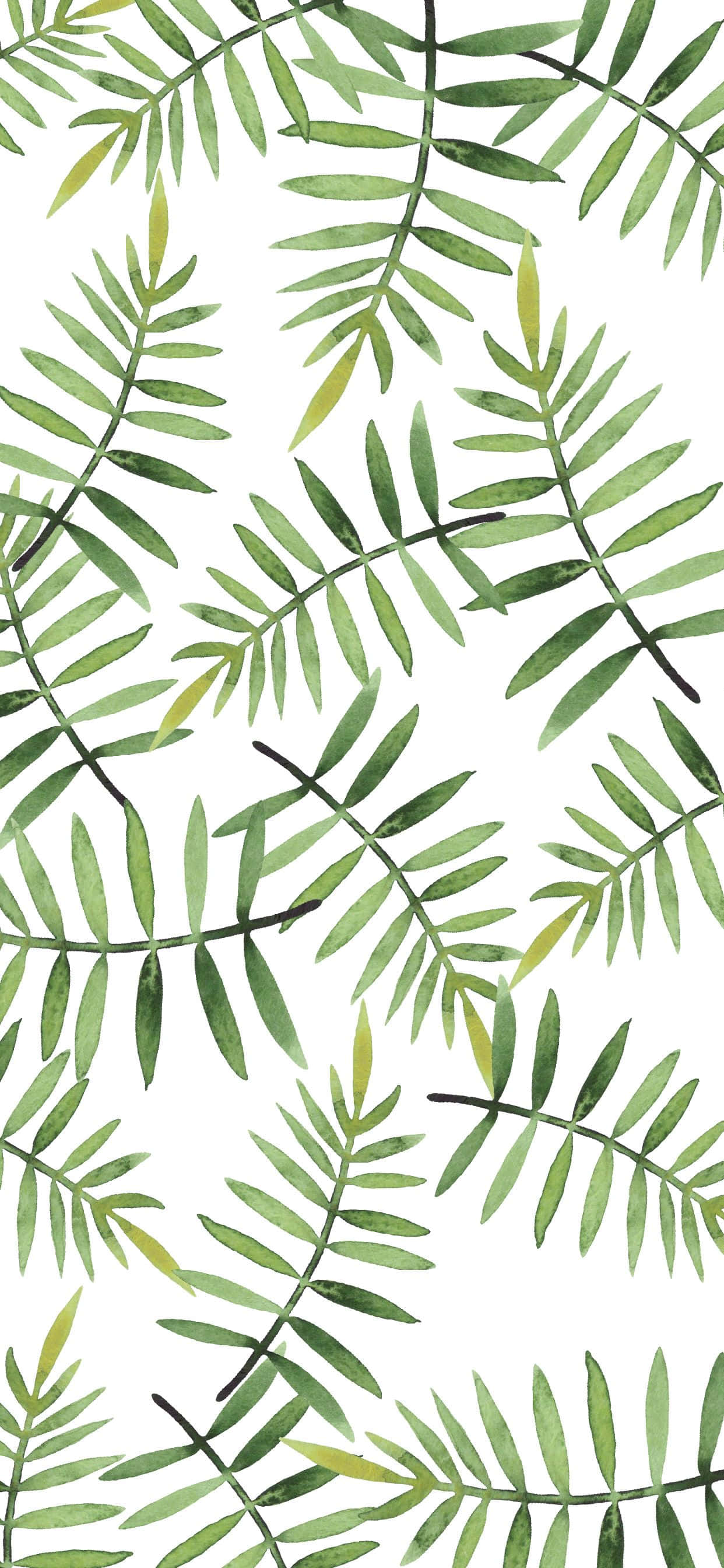 Kawaii Green Palm Fern Leaves Wallpaper
