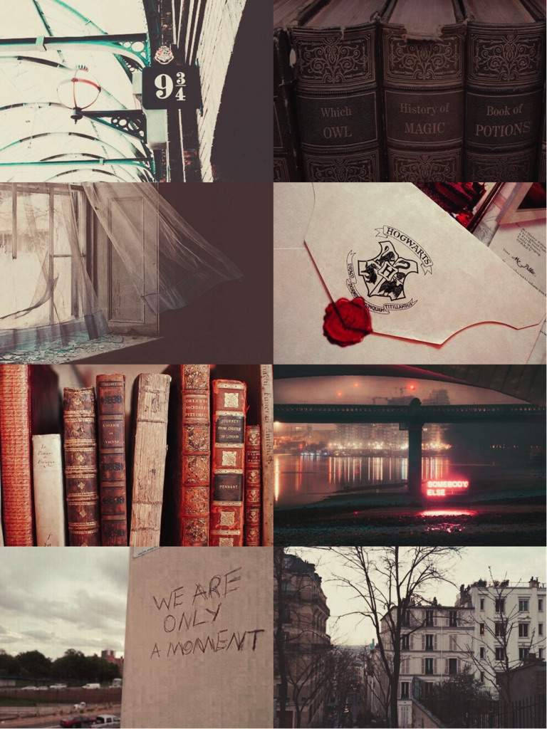 Koleksyon ng mga Aesthetic Artifact ng HP Wallpaper
