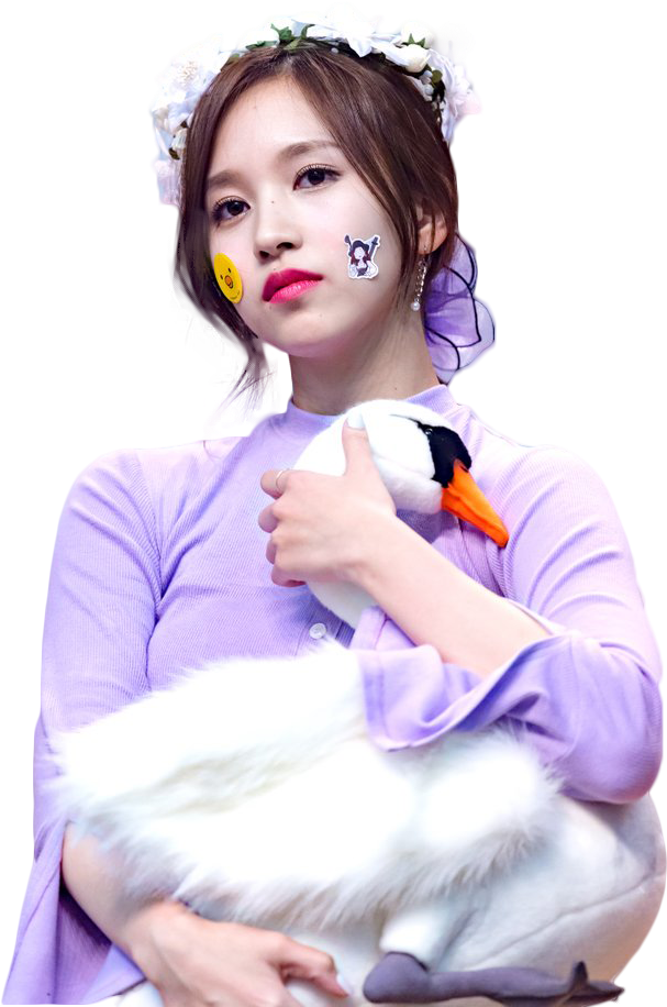 Kpop Star na May Stuffed Swan Wallpaper
