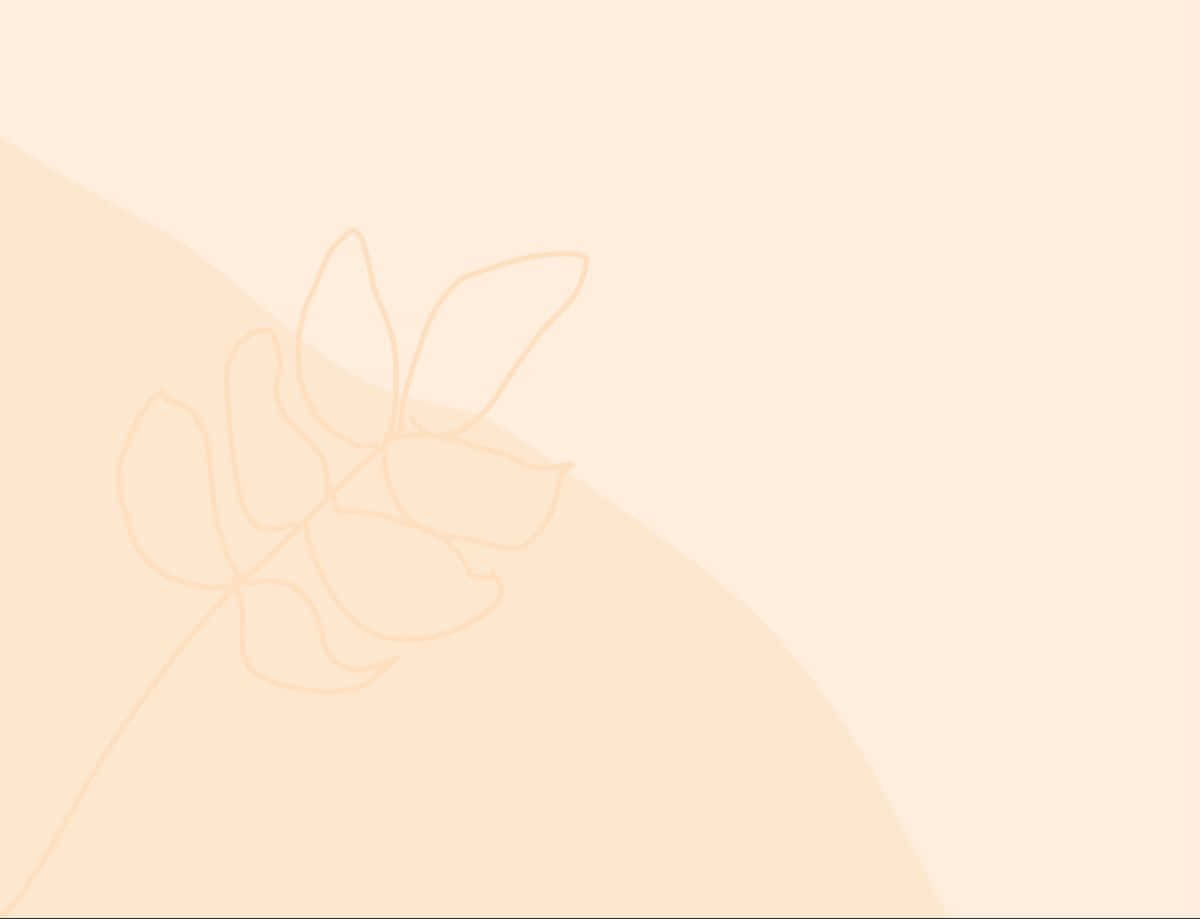 Kulay Pastel Cream at Beige na Background Wallpaper