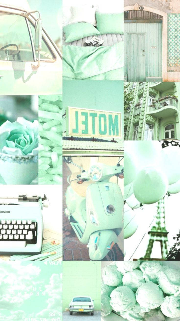 Kumbinasyong Aesthetic na Light Green Wallpaper