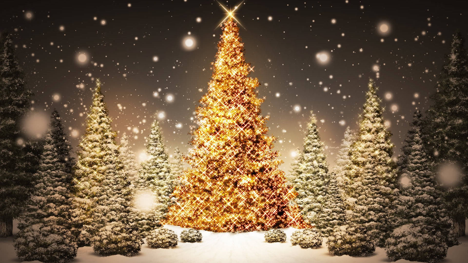 Kumikinang at Magandang mga Puno ng Pasko Wallpaper