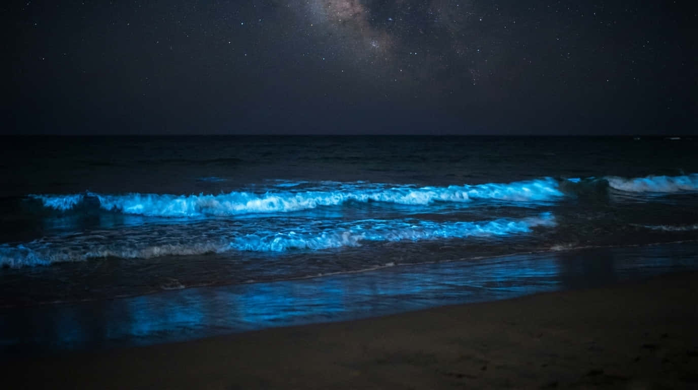 Kumikinang na dagat sa gabi - 4K wallpaper