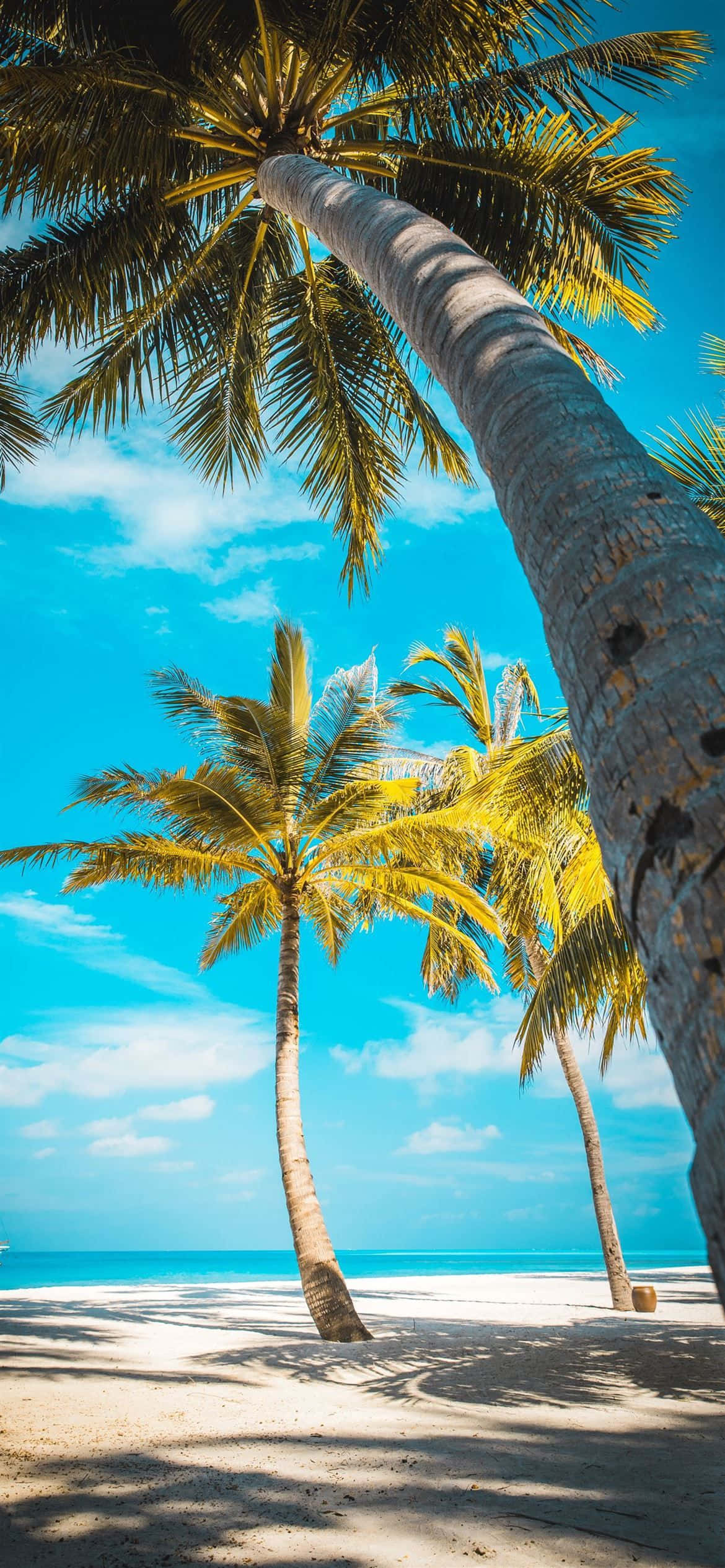 Kunin ang pinakabagong Apple iPhone 12 Pro at maglakbay sa kabilang-dibdib Wallpaper