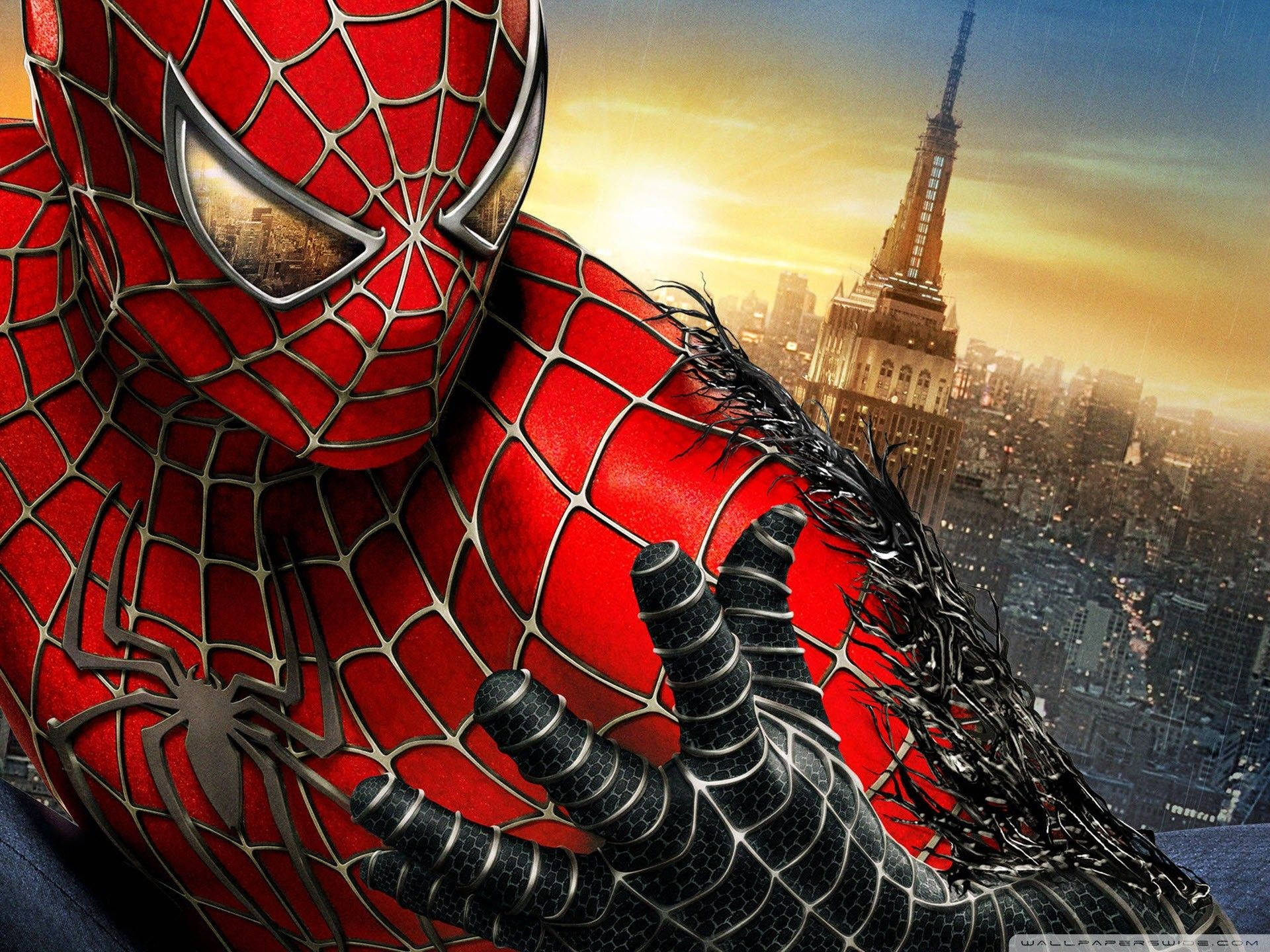 Labanan ni Spiderman at Venom Wallpaper