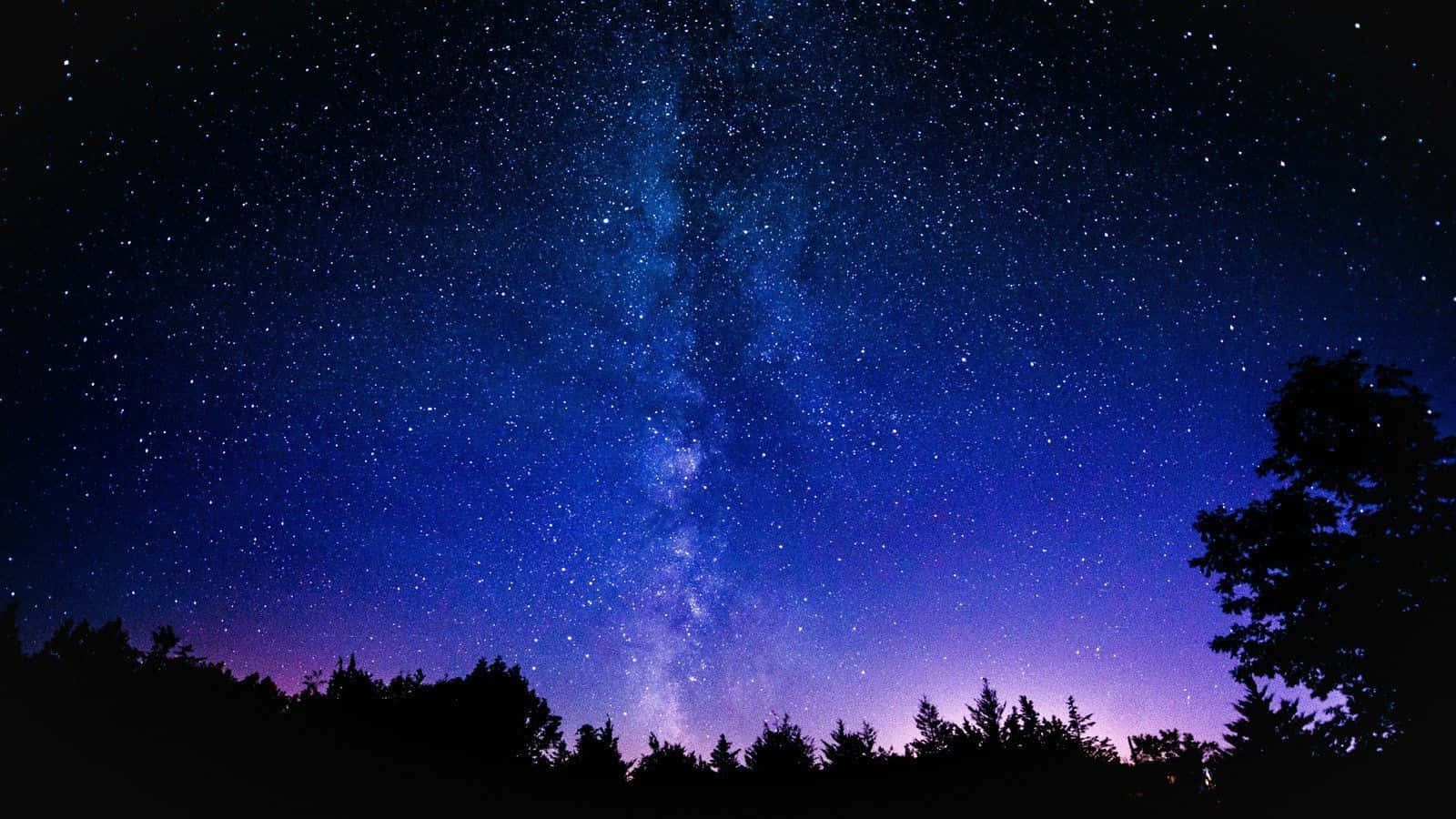 Langit ng Kalawakan Mga Palumpong Puno Wallpaper
