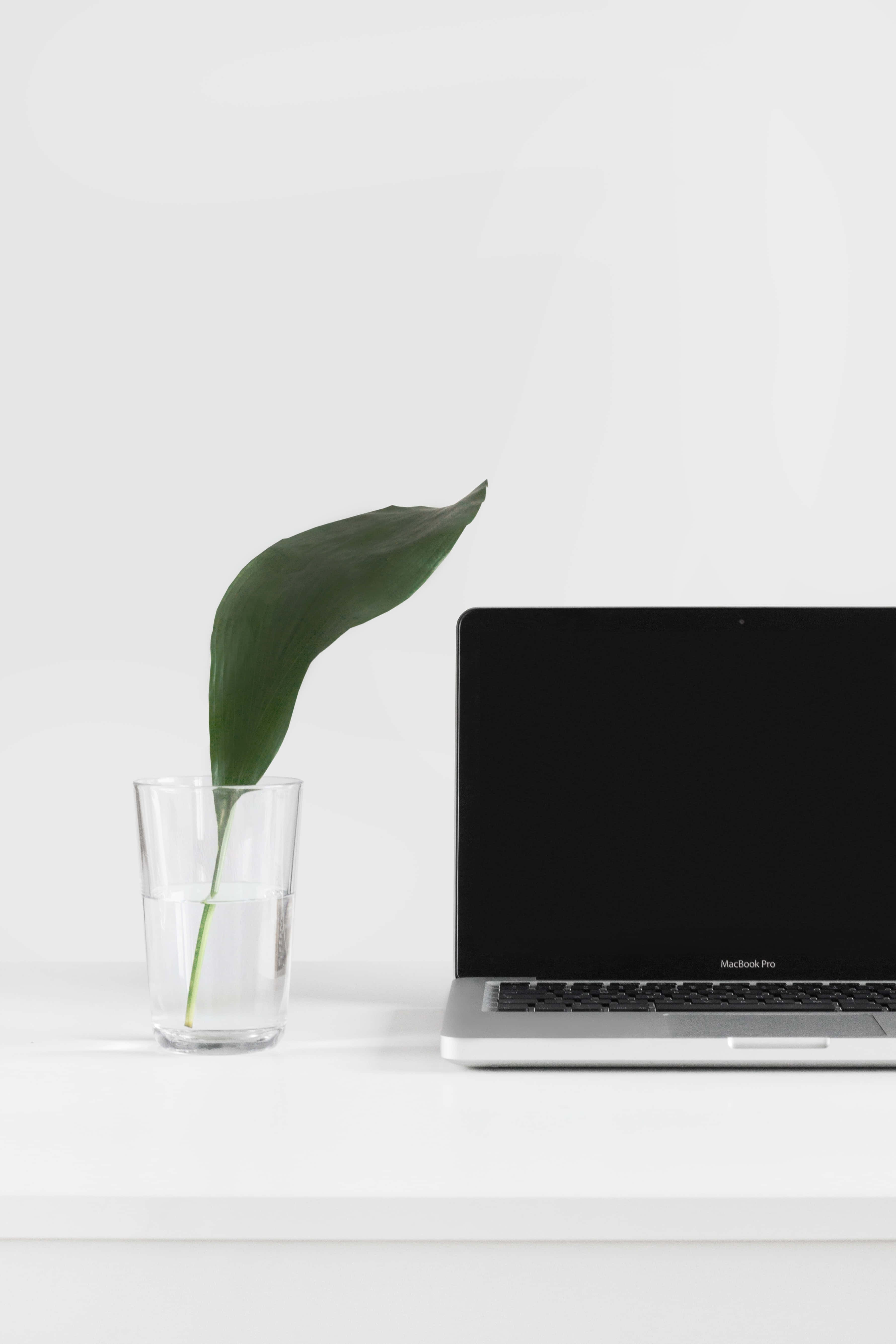 Laptop Computer At Leaf Background Wallpaper