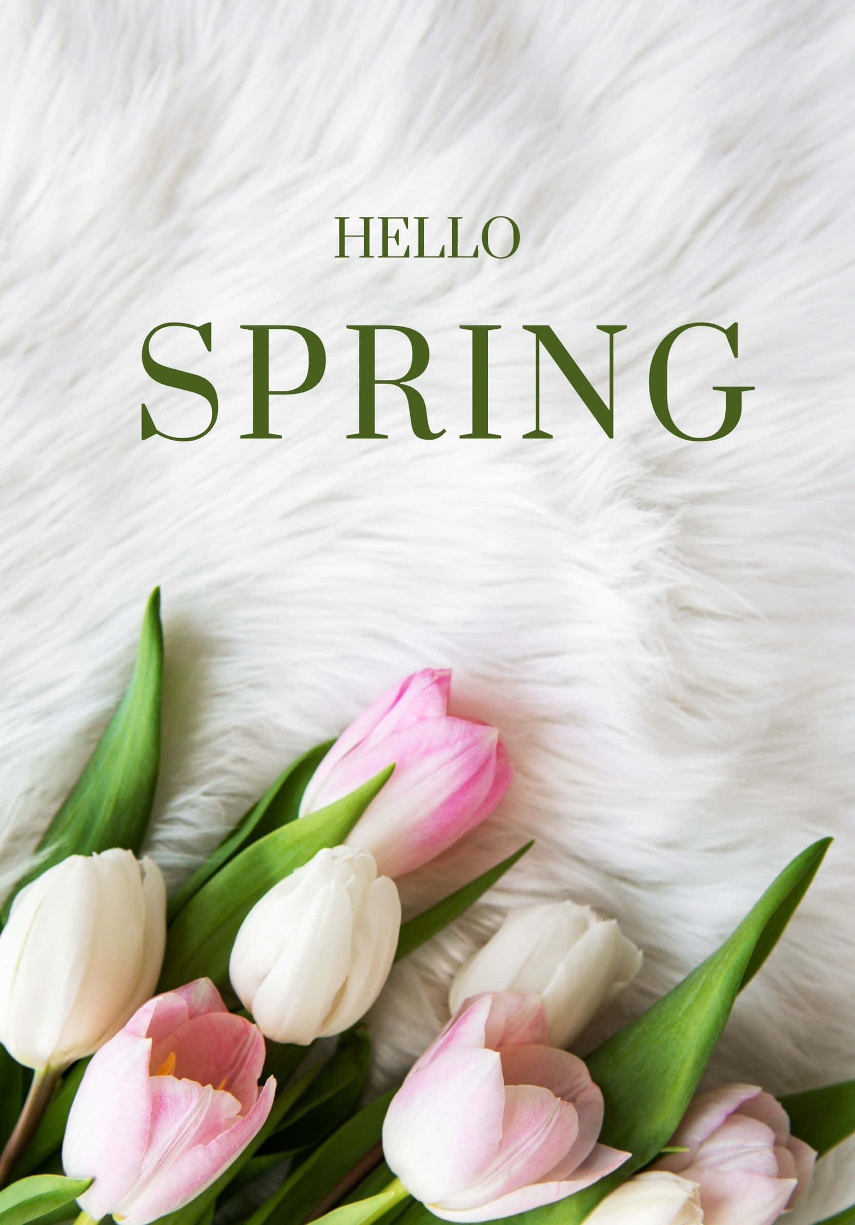 Larawan "Enjoy the beautiful colors of spring." Wallpaper