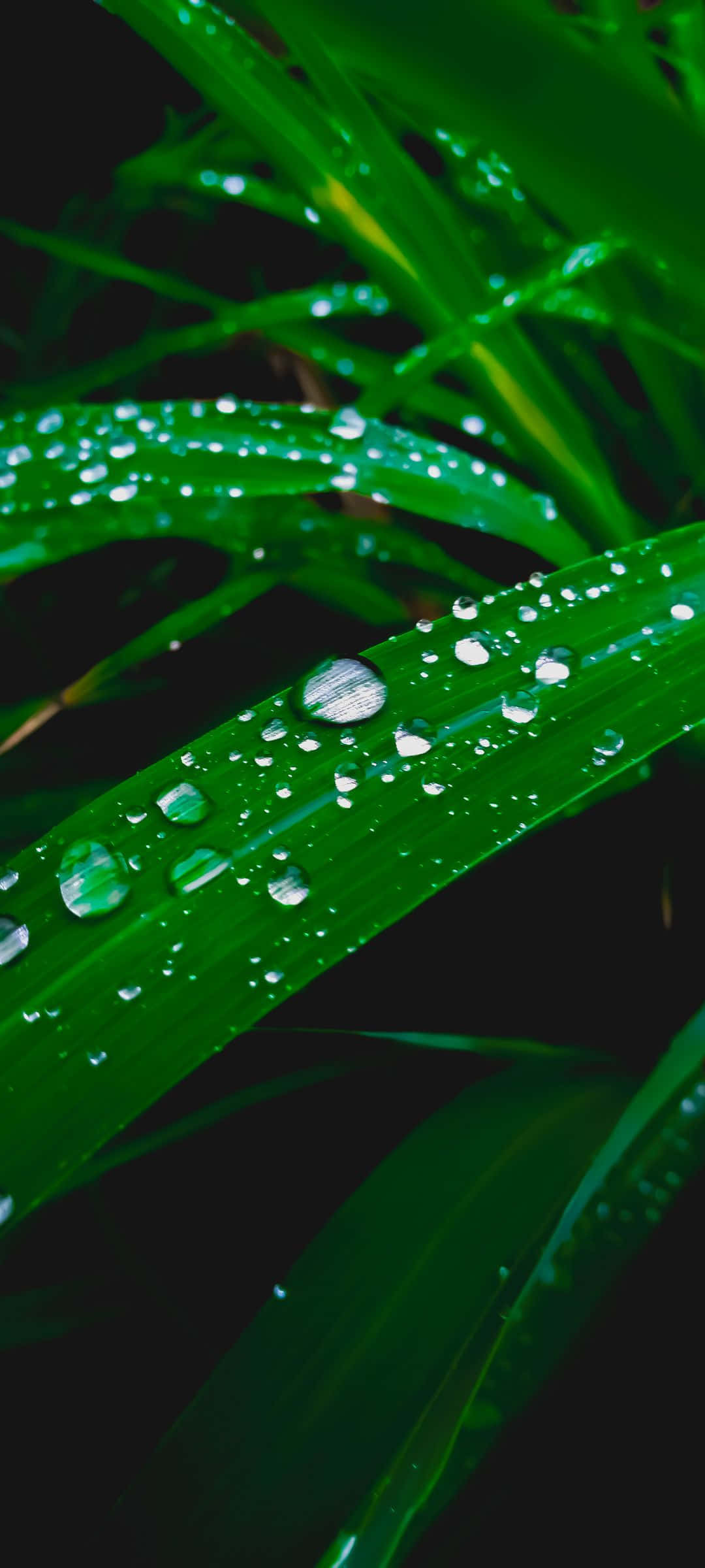 Larawan Maligayang Pagdating sa Dalampasigan Wallpaper