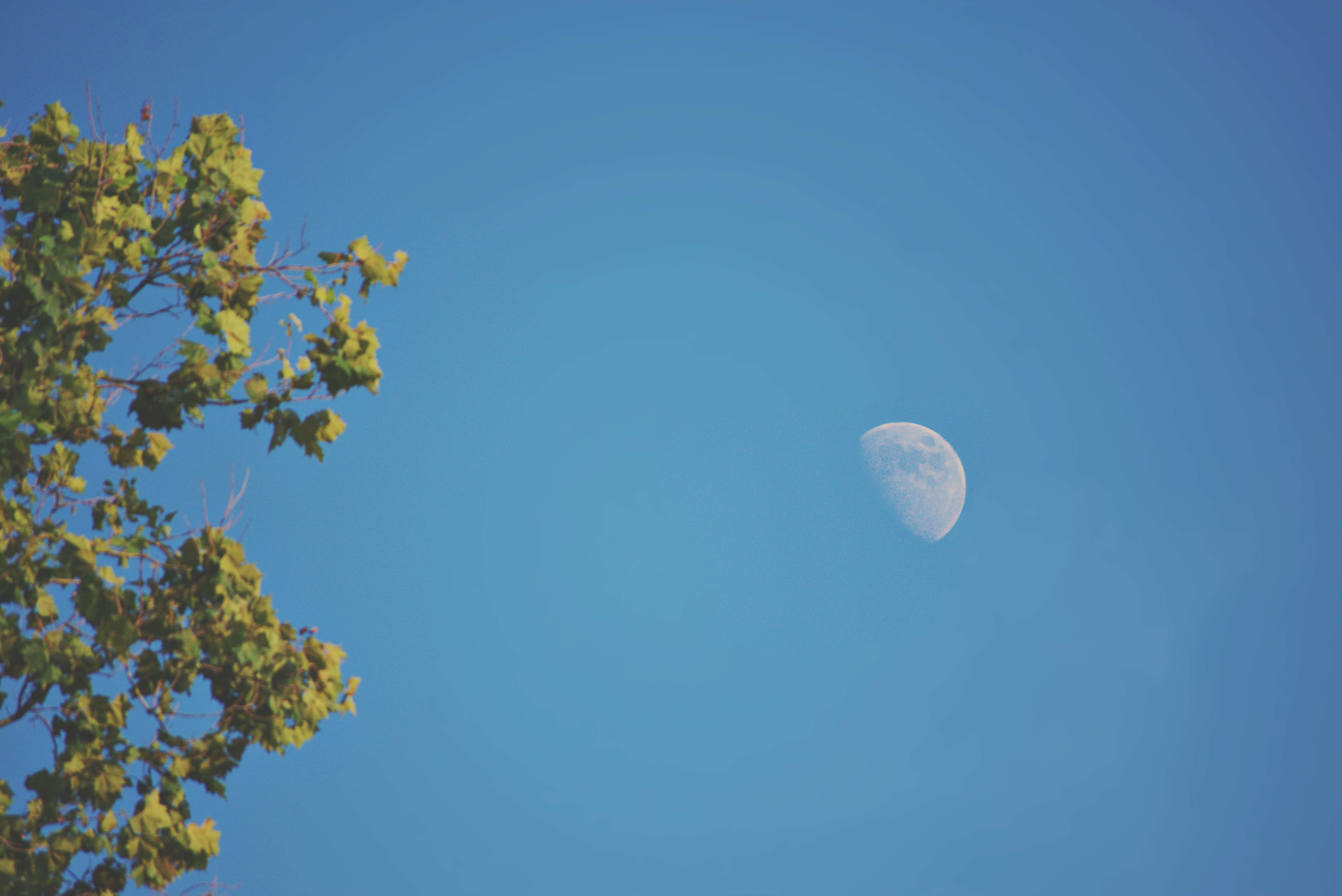 Larawan ng Buwan sa Maaliwalas na Asul na Langit Wallpaper