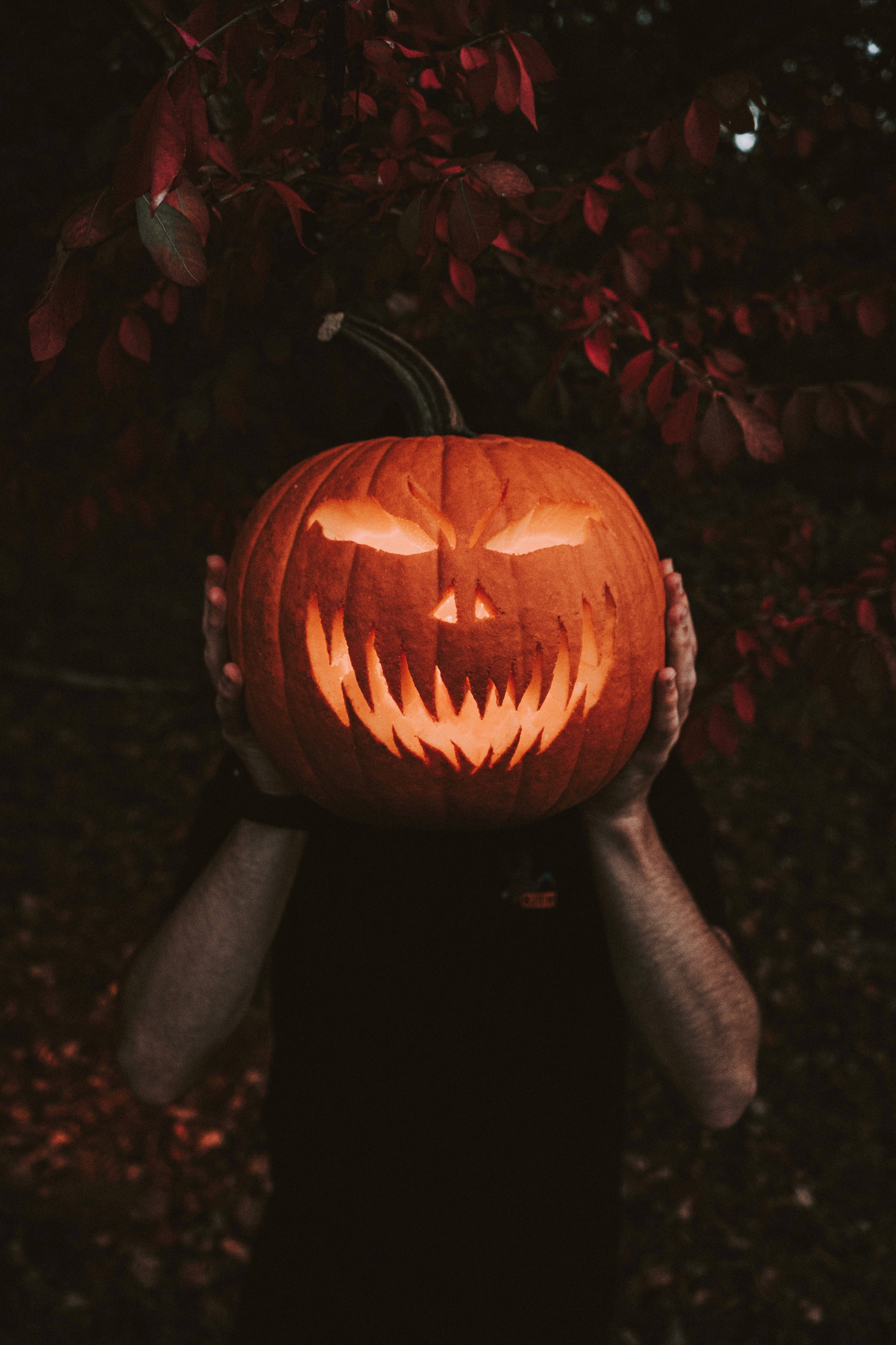 Larawan ng Kalabasa para sa Cellphone sa Halloween Wallpaper