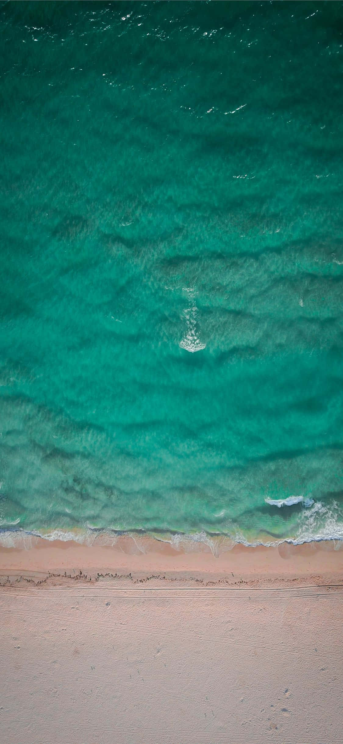 Larawan ng Miami Beach Green Sea Water Wallpaper