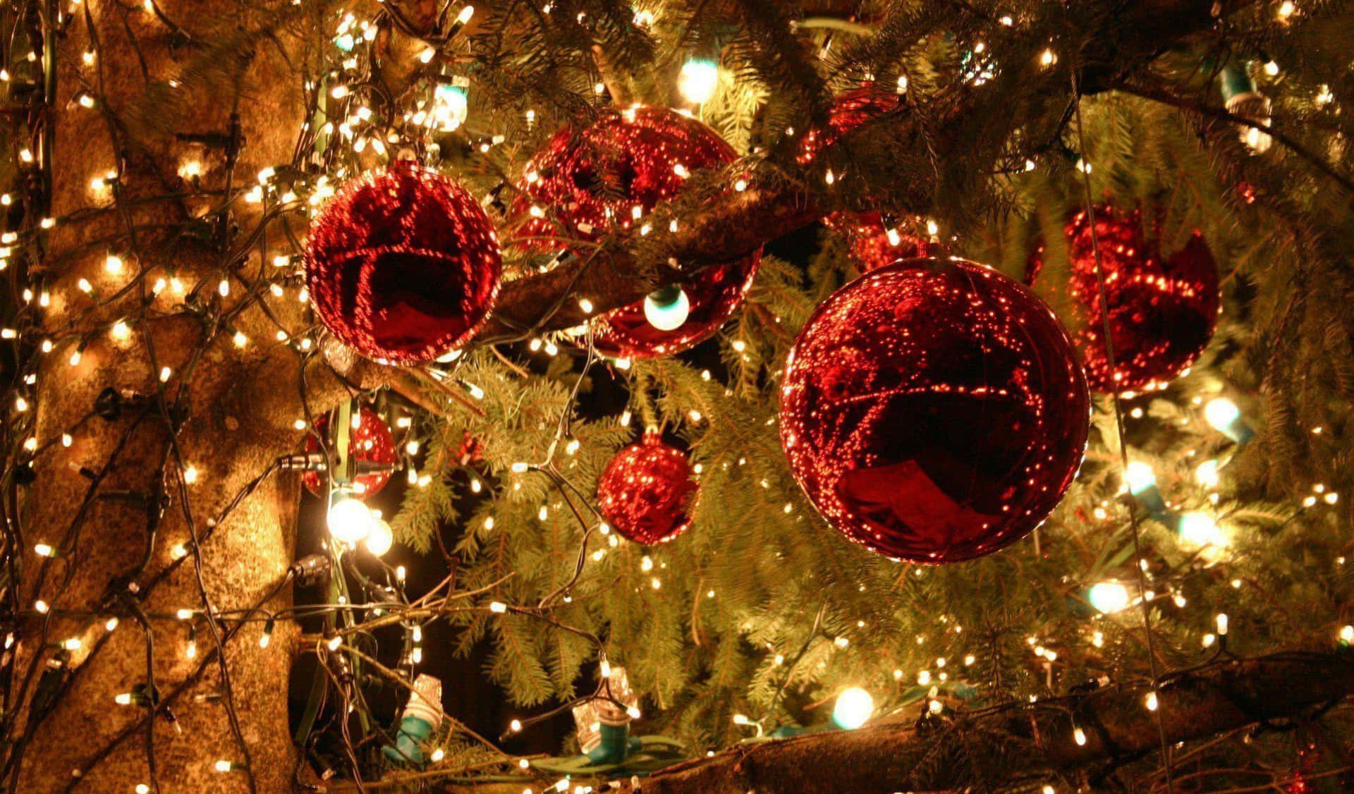 Larawan ng Pulang Bola ng Pasko na May Gintong Ilaw Wallpaper