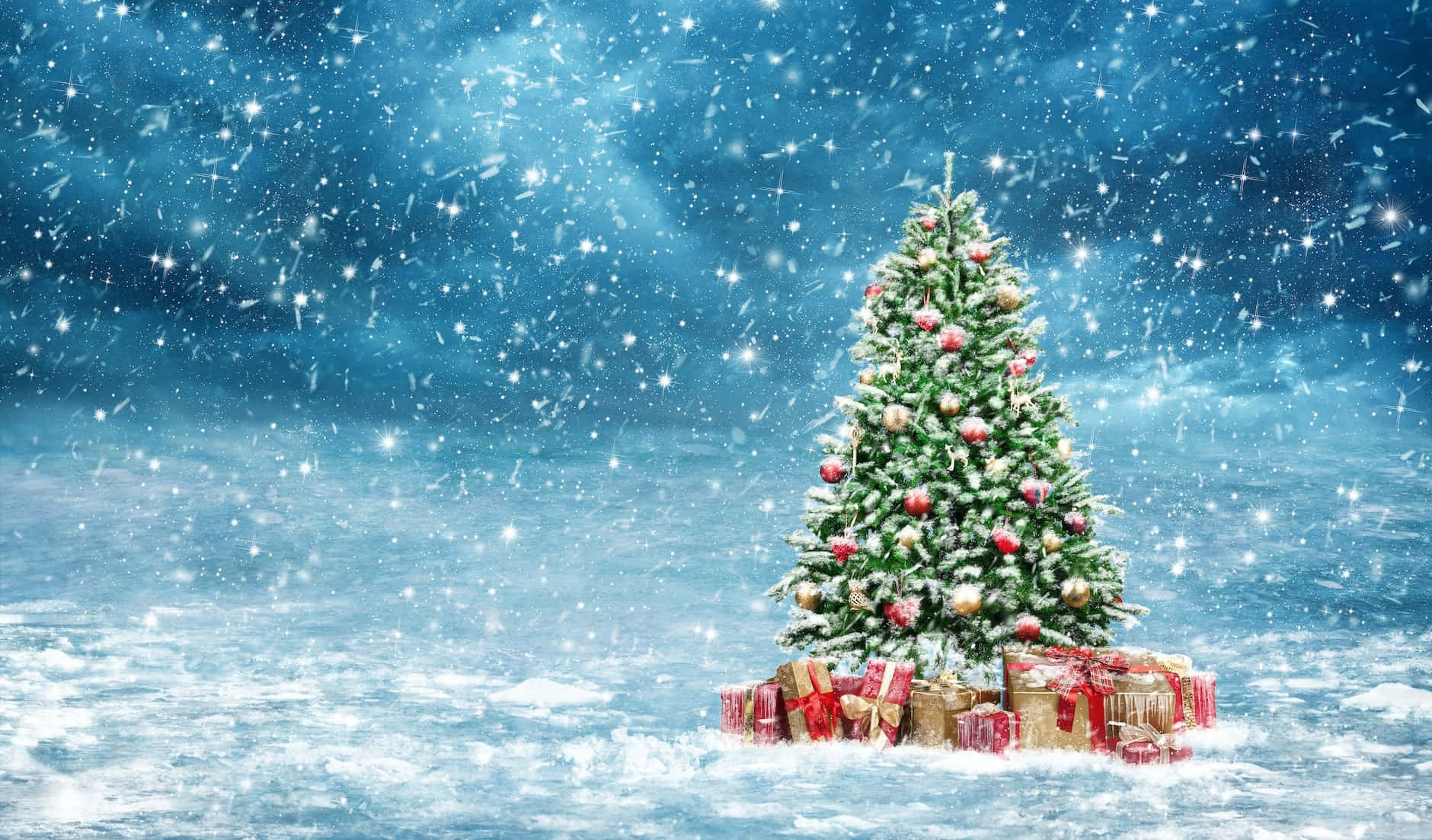 Larawan ng Puno ng Pasko at Niyebe Wallpaper