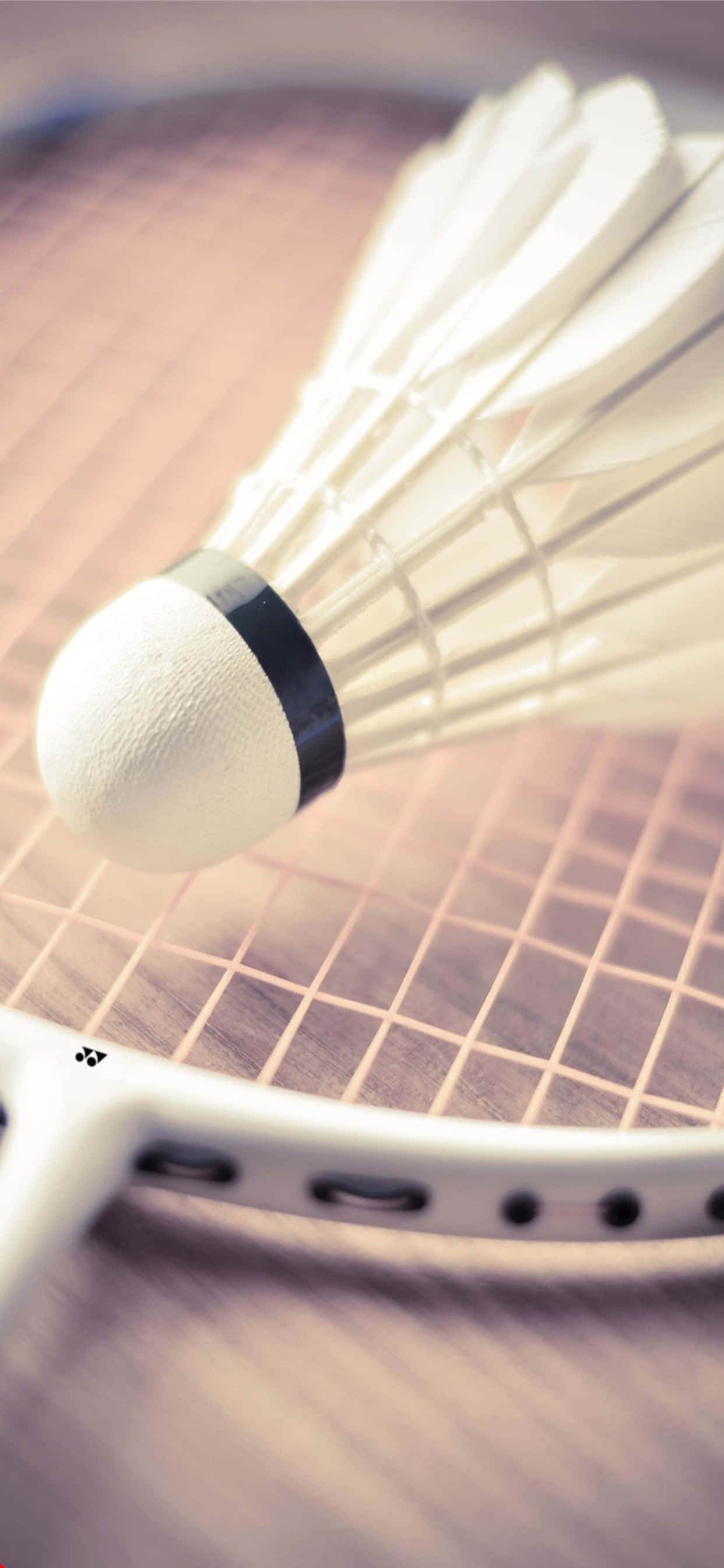 Larawan: Paglalaro ng Badminton sa Iyong iPhone XS Max Wallpaper