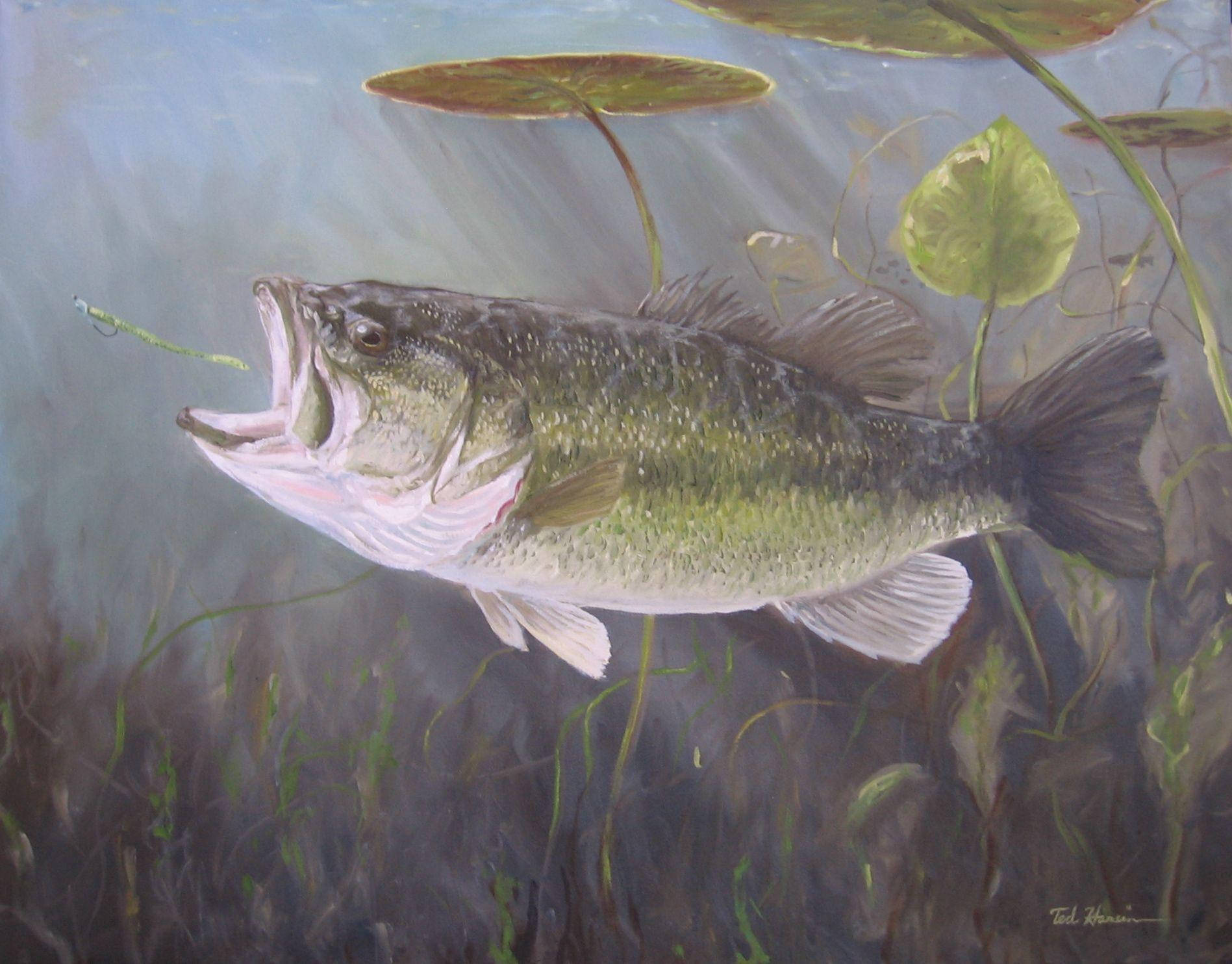 Largemouth Bass na Humahabol sa Kanyang Biktima Wallpaper