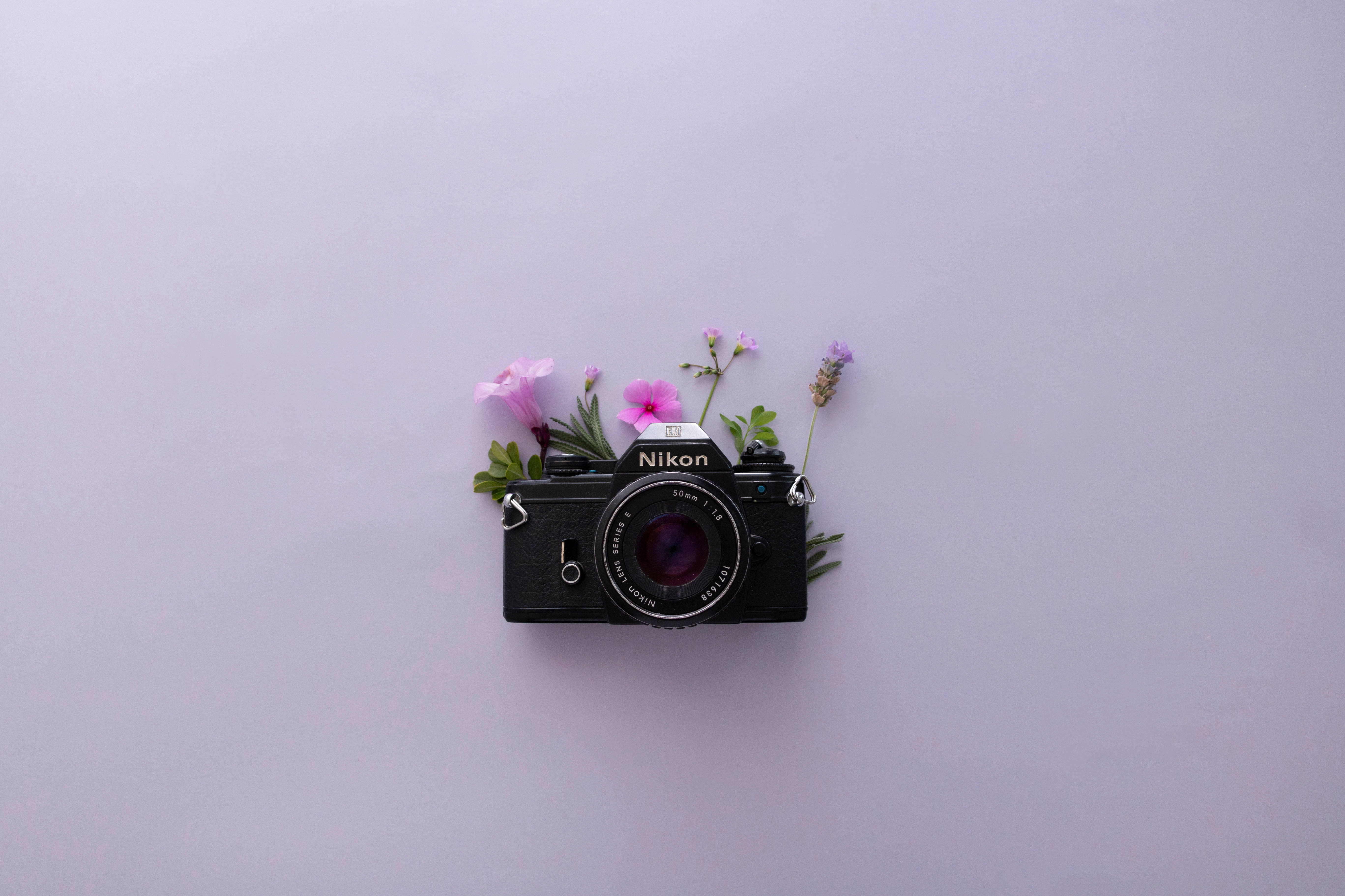 Lavender Aesthetic at Nikon Camera Wallpaper