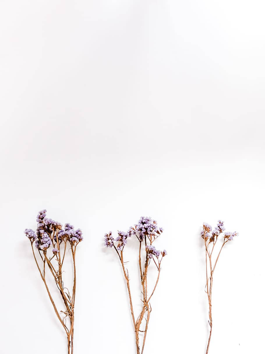 Lavender Aesthetic na Isang Dakot na mga Bote ng Bulaklak Wallpaper