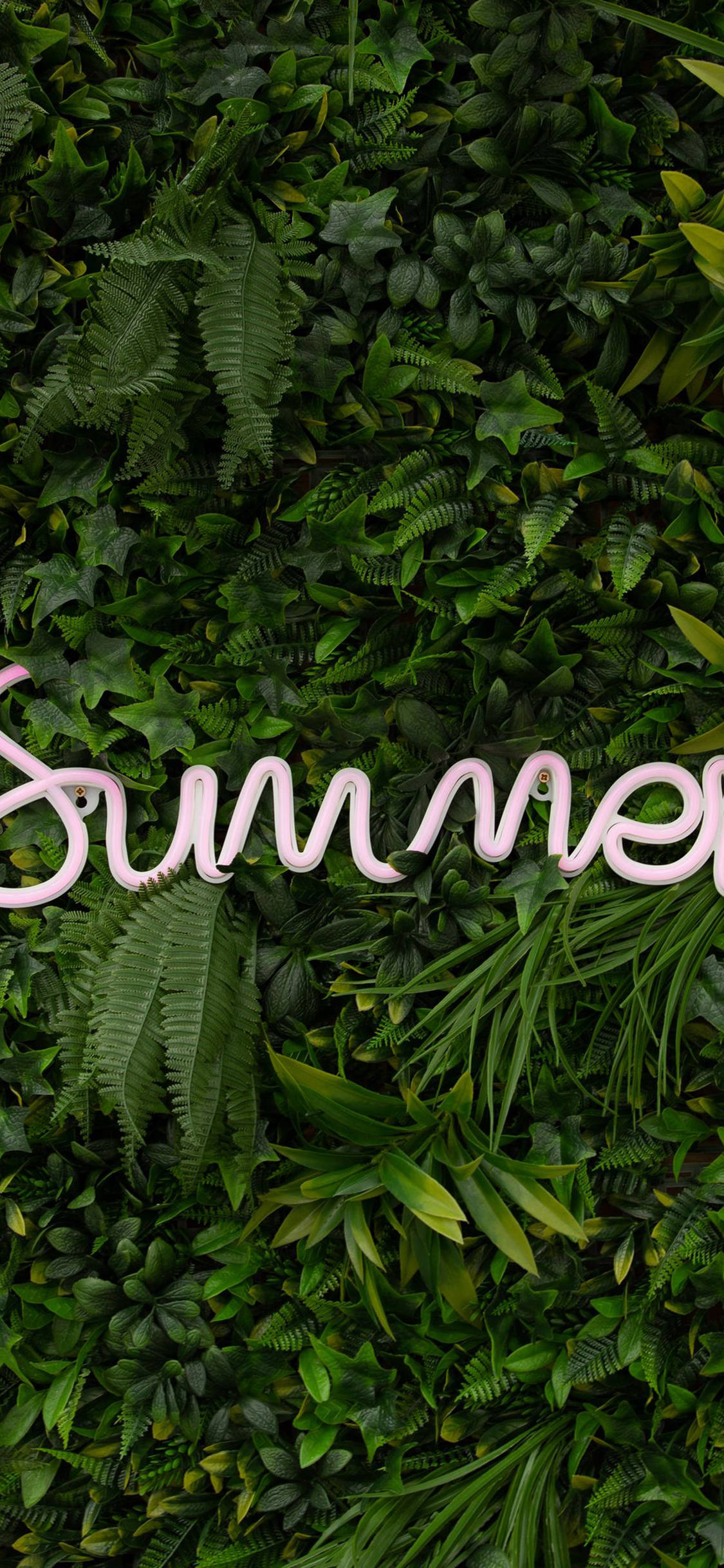 LED Summer iPhone Green Wallpaper