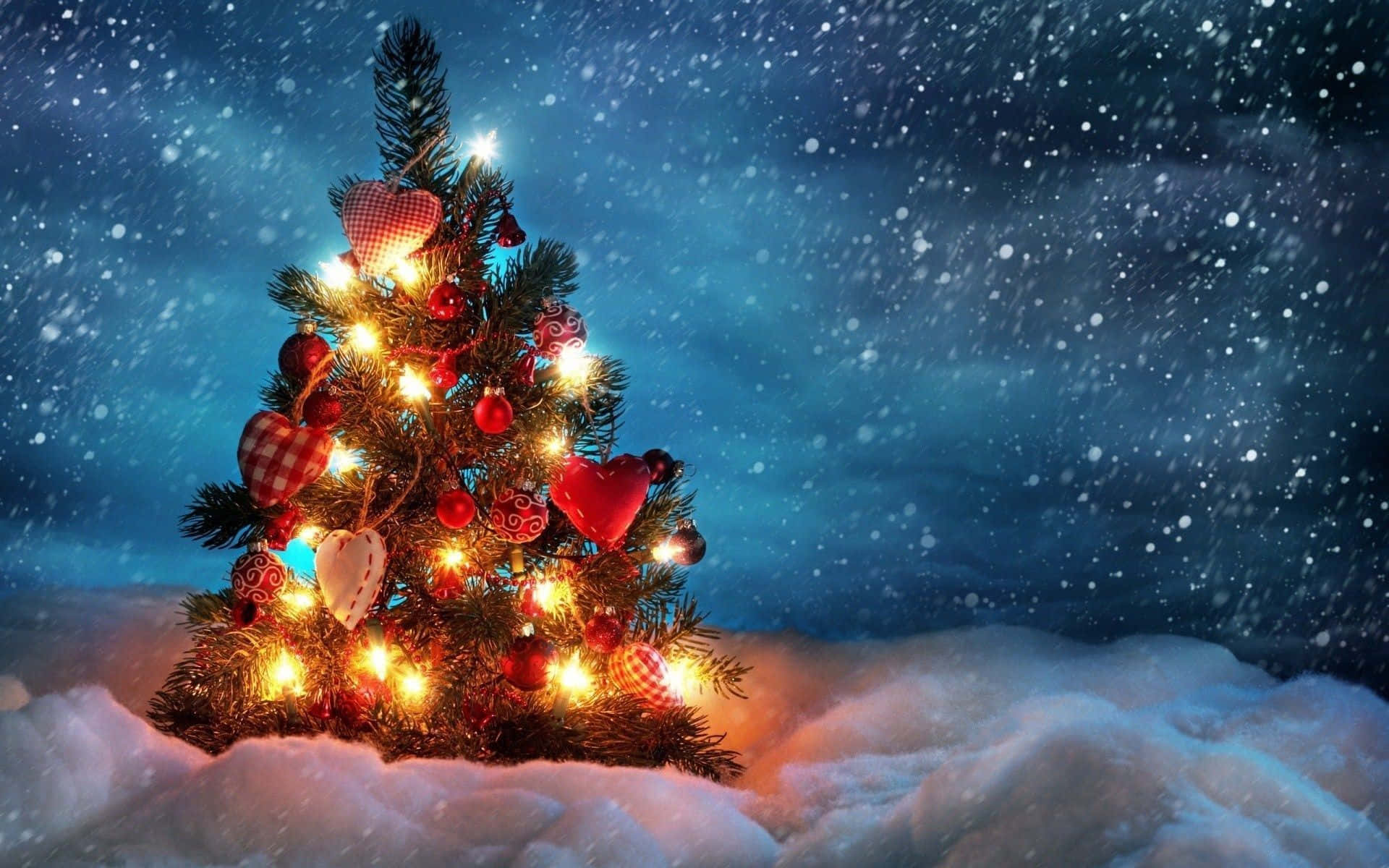 Libreng Larawan ng Puno ng Pasko sa Gabi ng Niyebe Wallpaper