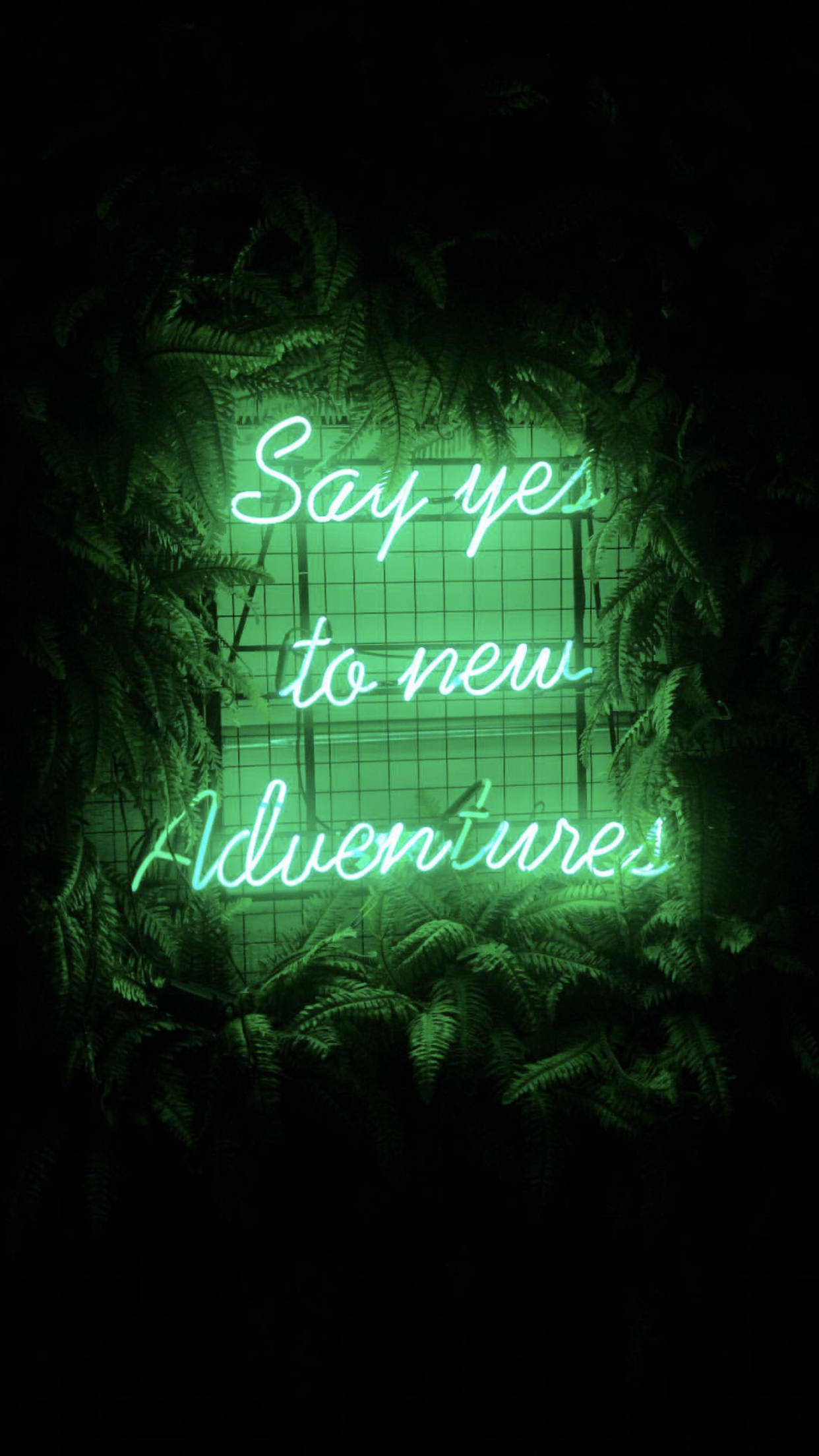 Light Green Aesthetic Bagong Pakikipagsapalaran Wallpaper