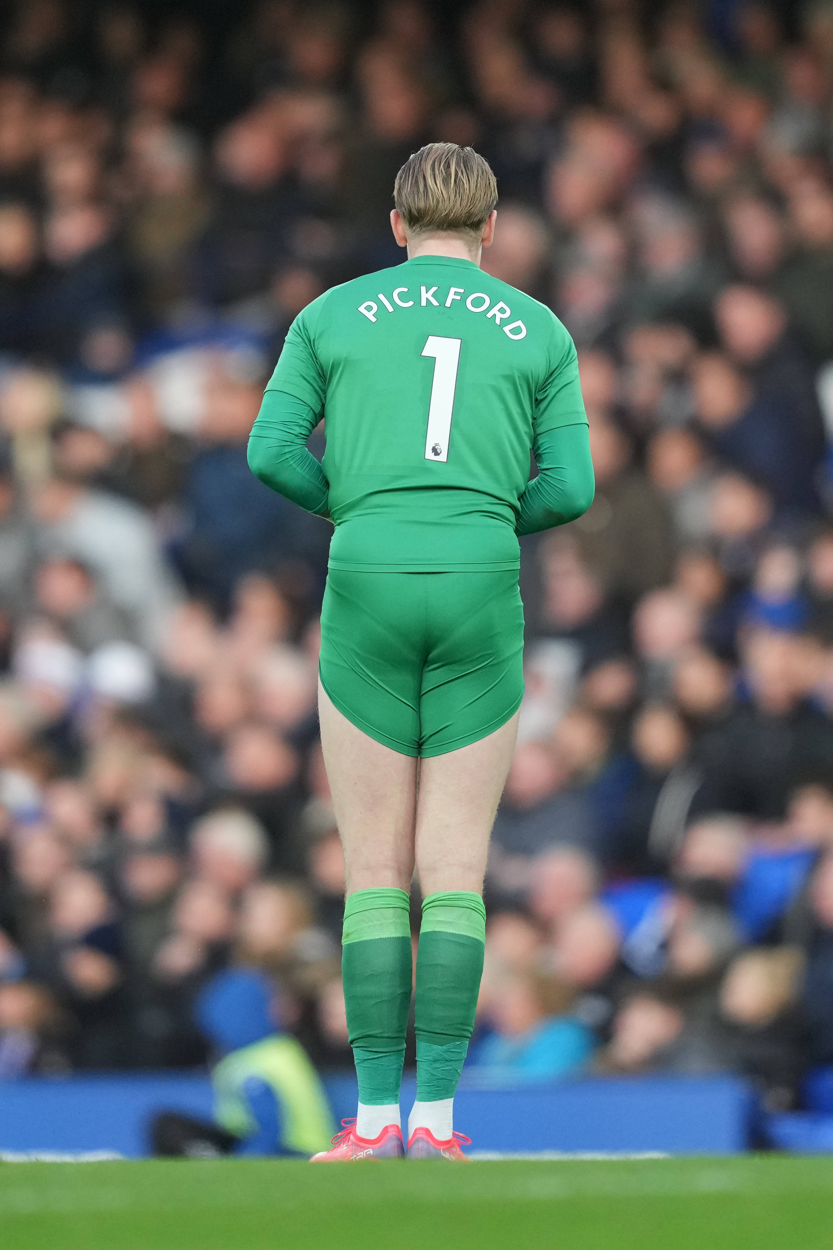 Likod ni Jordan Pickford na Nasa Berde Wallpaper