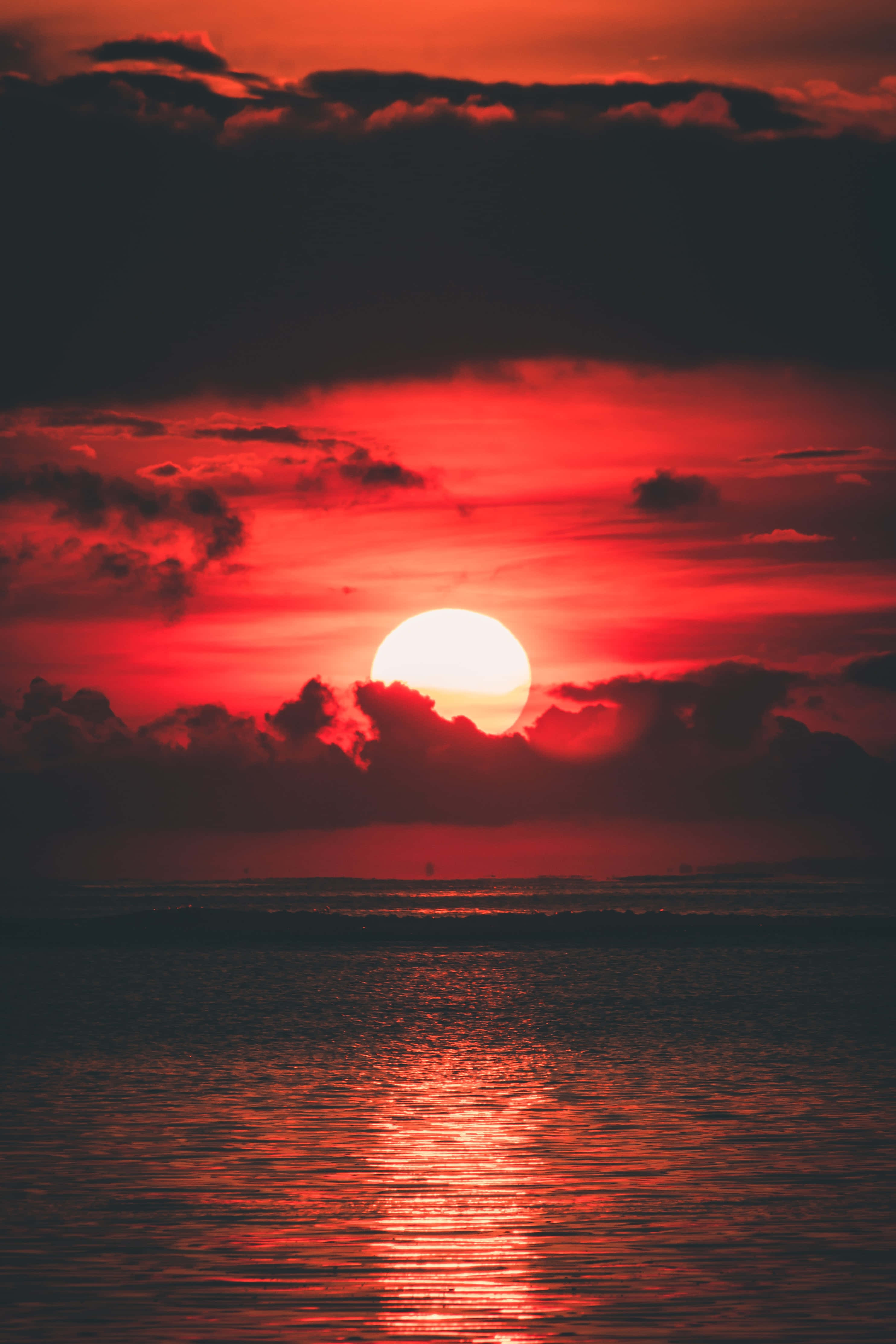 Likuran ng Kalikasan Wallpaper
