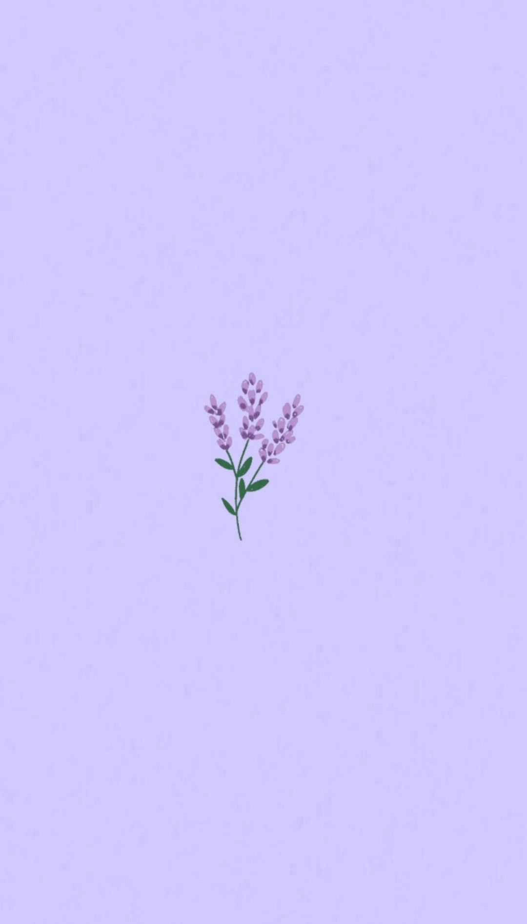 Lila na Aesthetic na Bulaklak ng Lavender Wallpaper