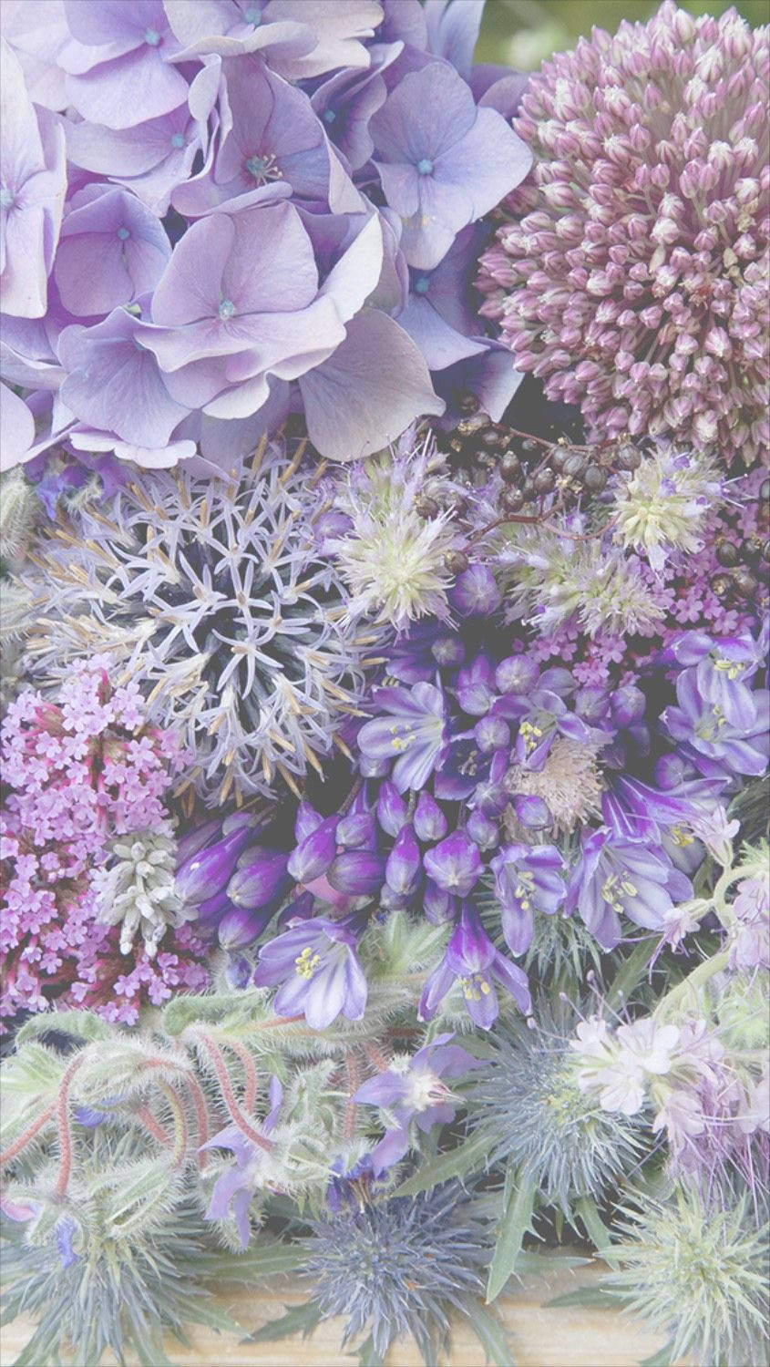 Lilac at Purple na Floral na iPhone Wallpaper