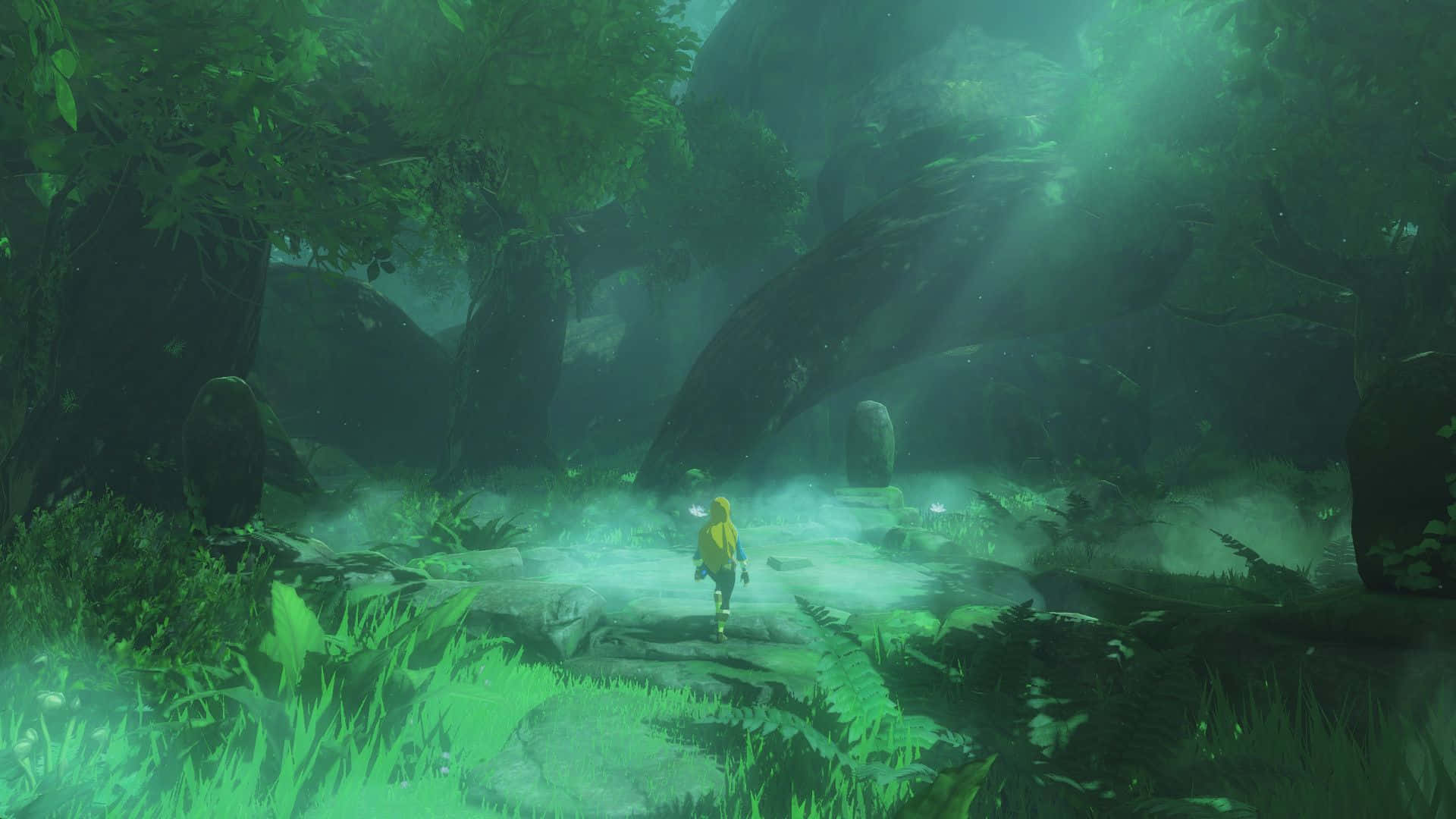 Link sa paglalakbay sa mundo ng The Legend of Zelda Wallpaper
