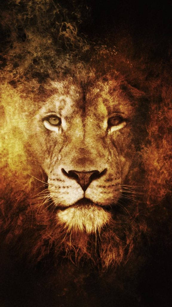 Lion Head Abstract iPhone 6 Wallpaper