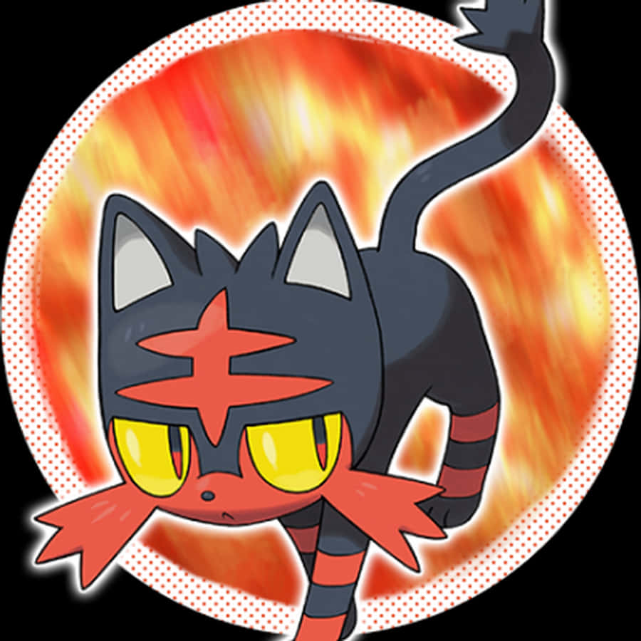 Litten na May Orange Circle Graphic Wallpaper