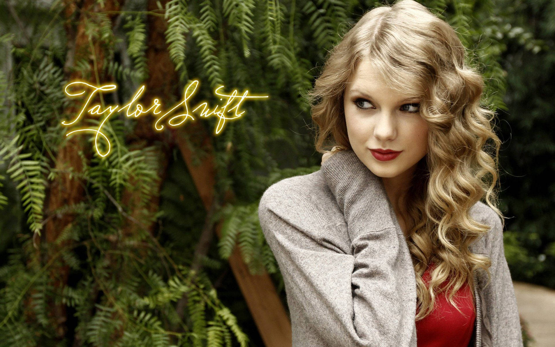 Live sa Entablado si Taylor Swift Wallpaper