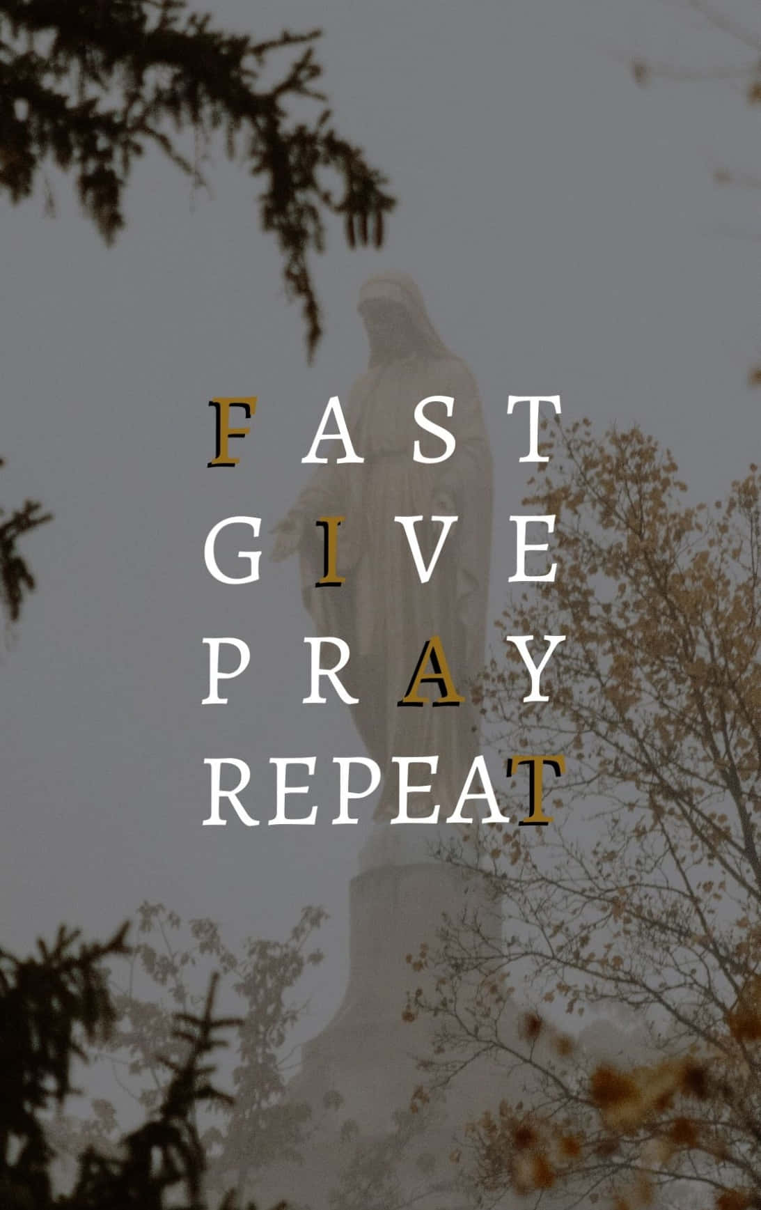 Live your faith with Catholic Phone! Wallpaper
