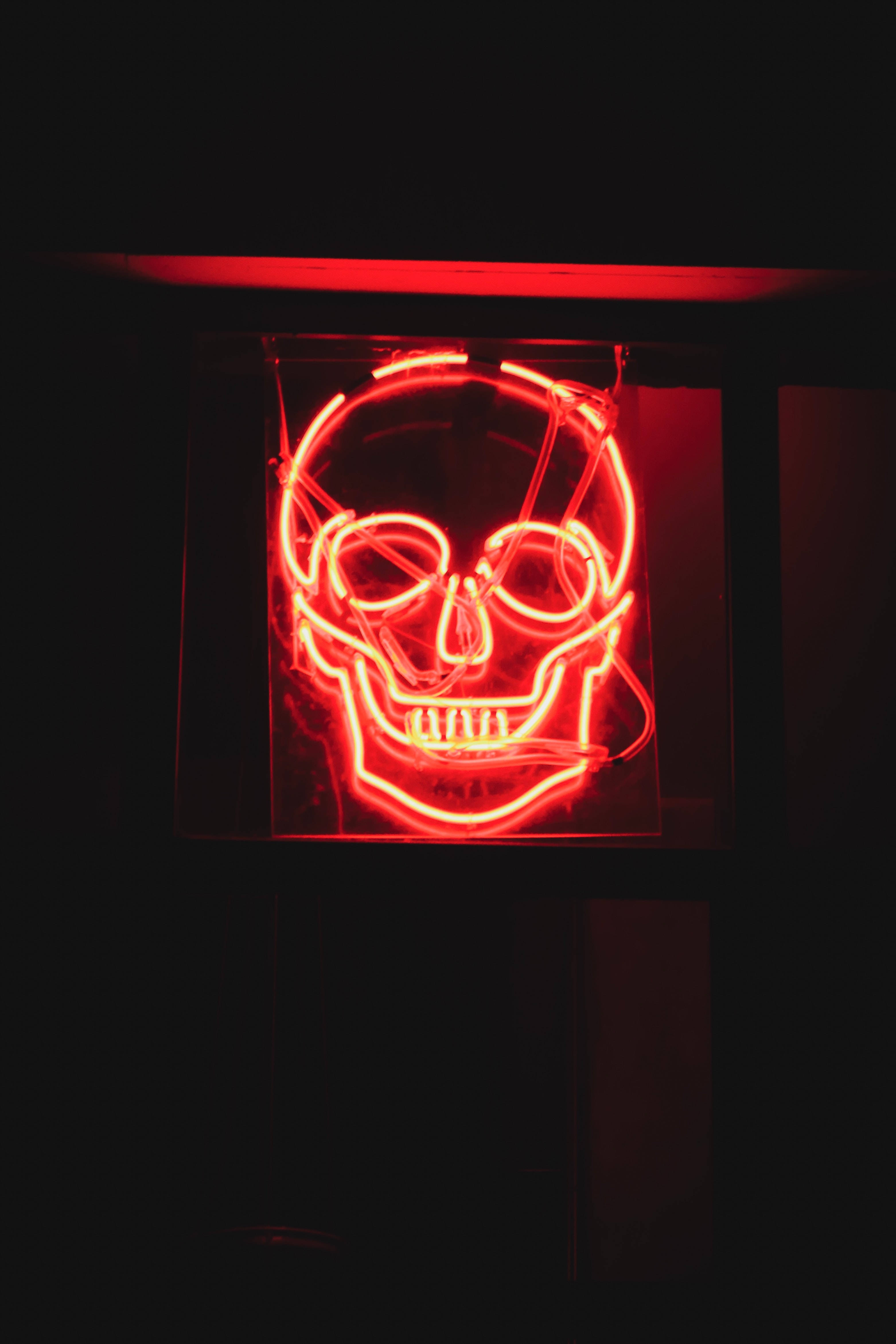 Liwanagan ang Iyong Mundo gamit ang Isang Neon na Bungo Wallpaper