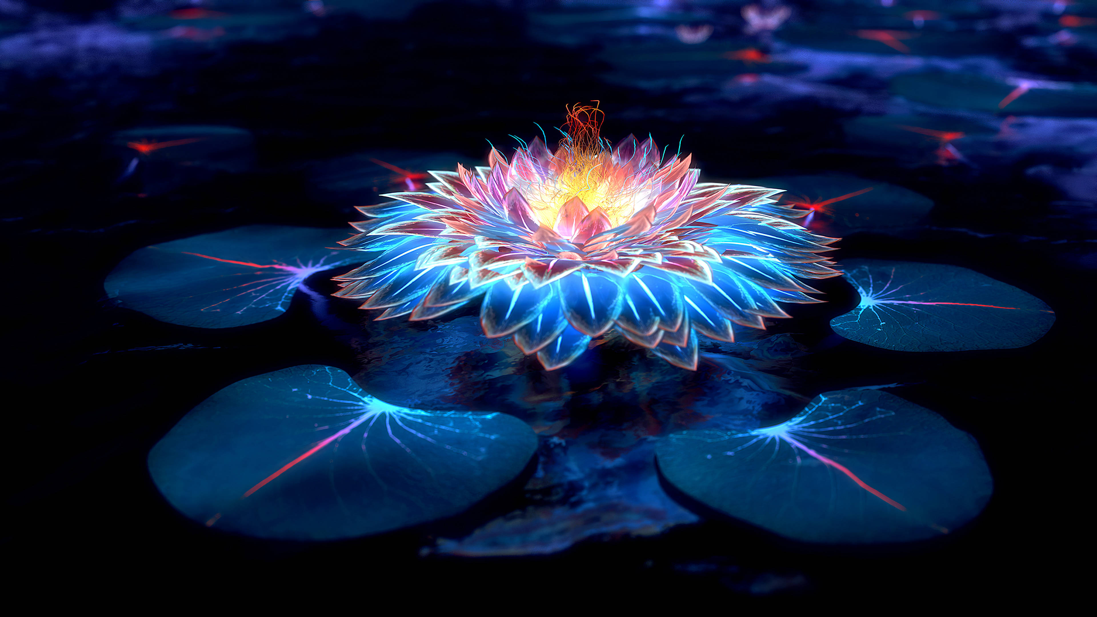 Lotus at Liwanag sa Dilim Wallpaper