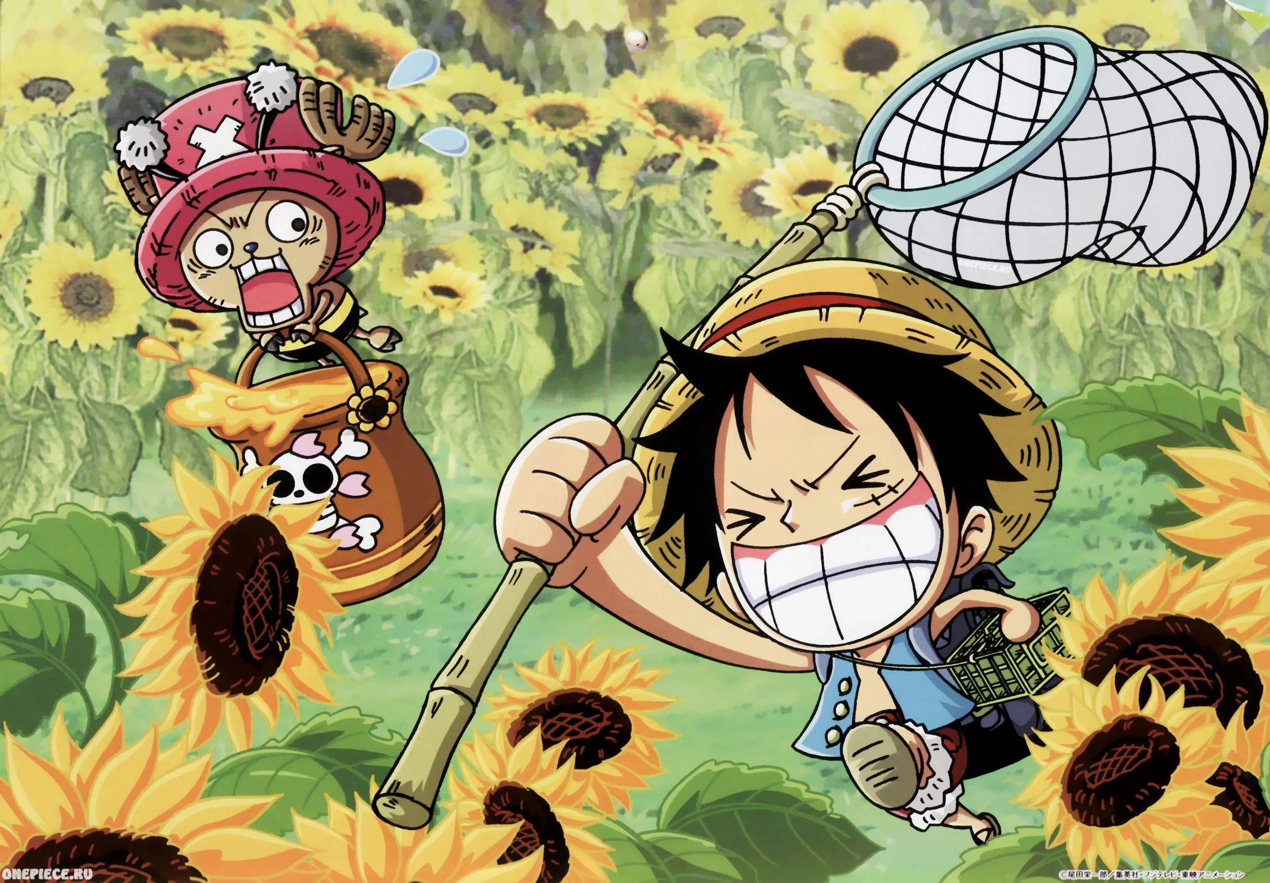 Luffy at Chopper Nakakatawang Anime Wallpaper