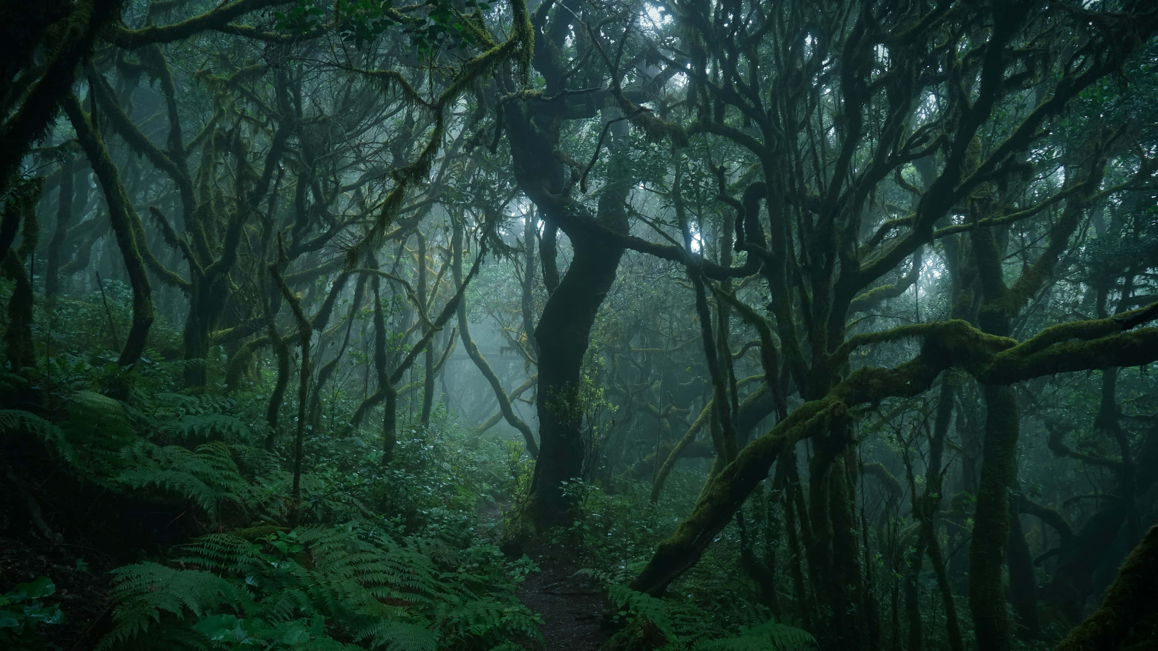 Lumikha ng tahimik at modernong espasyo gamit ang dark green na aesthetic. Wallpaper